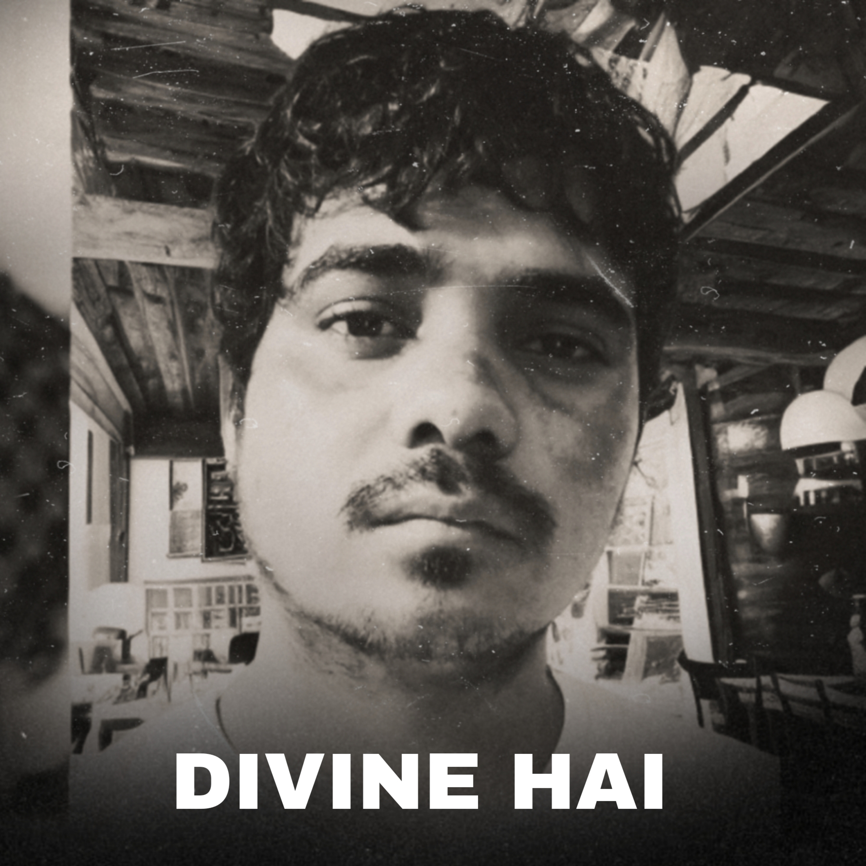 DIVINE HAI artwork