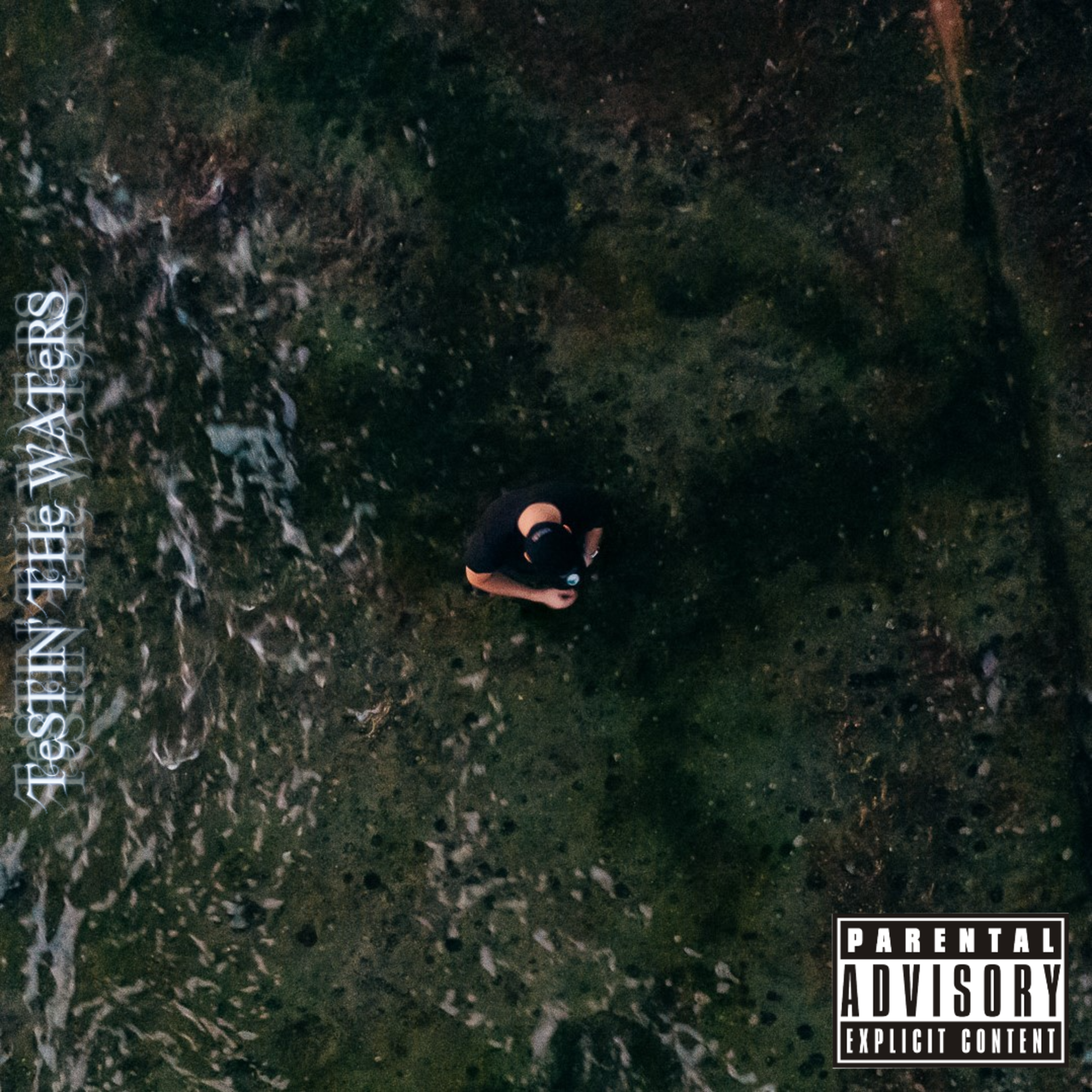 TeSTIN' THe WATeRS artwork