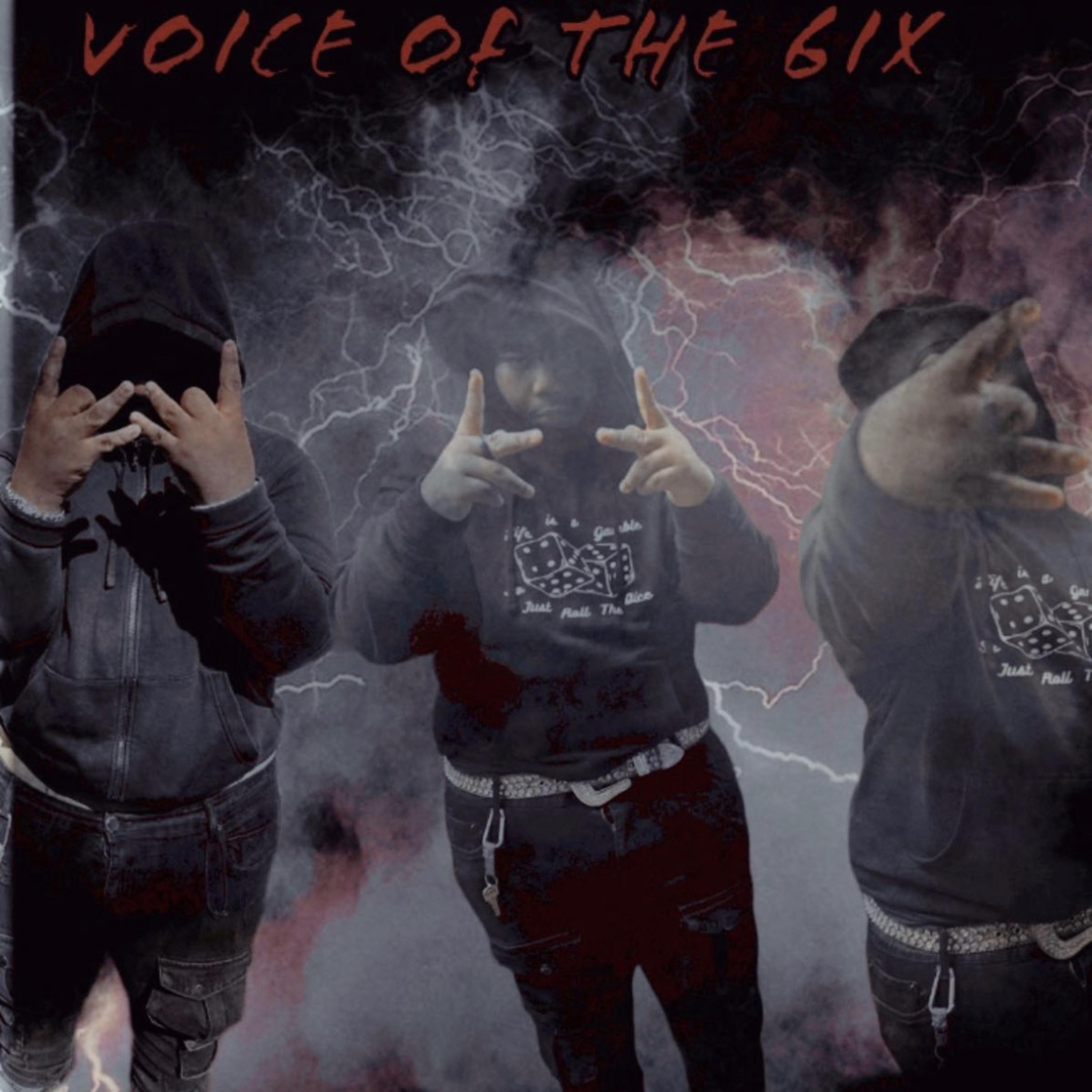 Voice Of The 6ix artwork