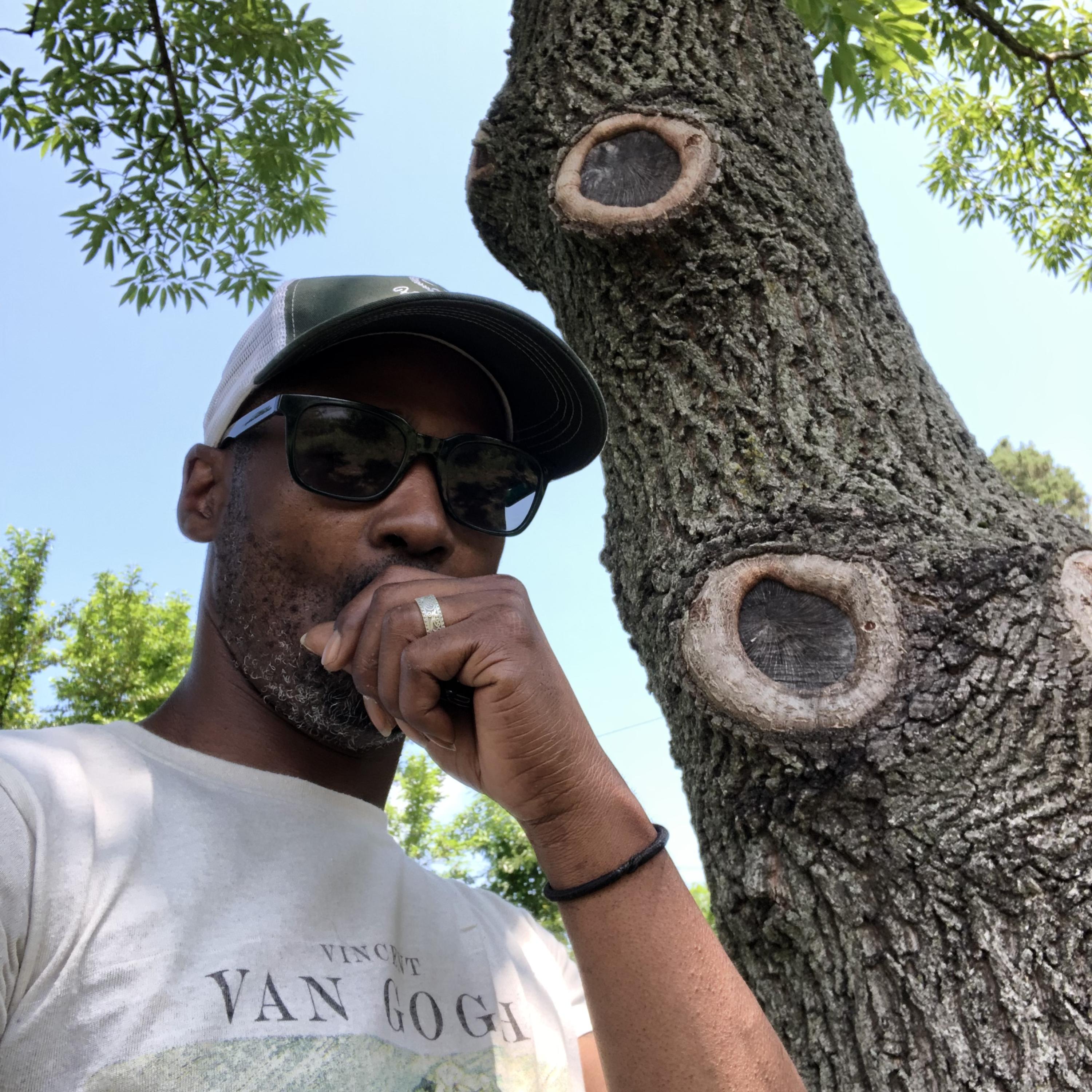 PRESIDENTIAL artwork