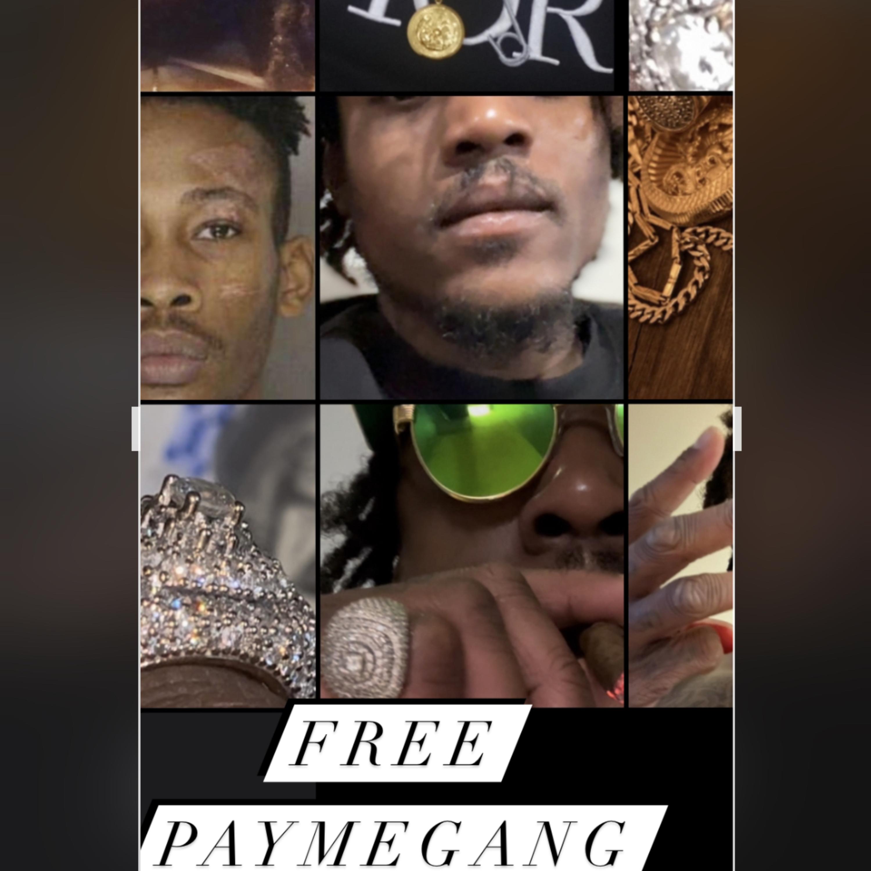Free PayMeGang Too artwork