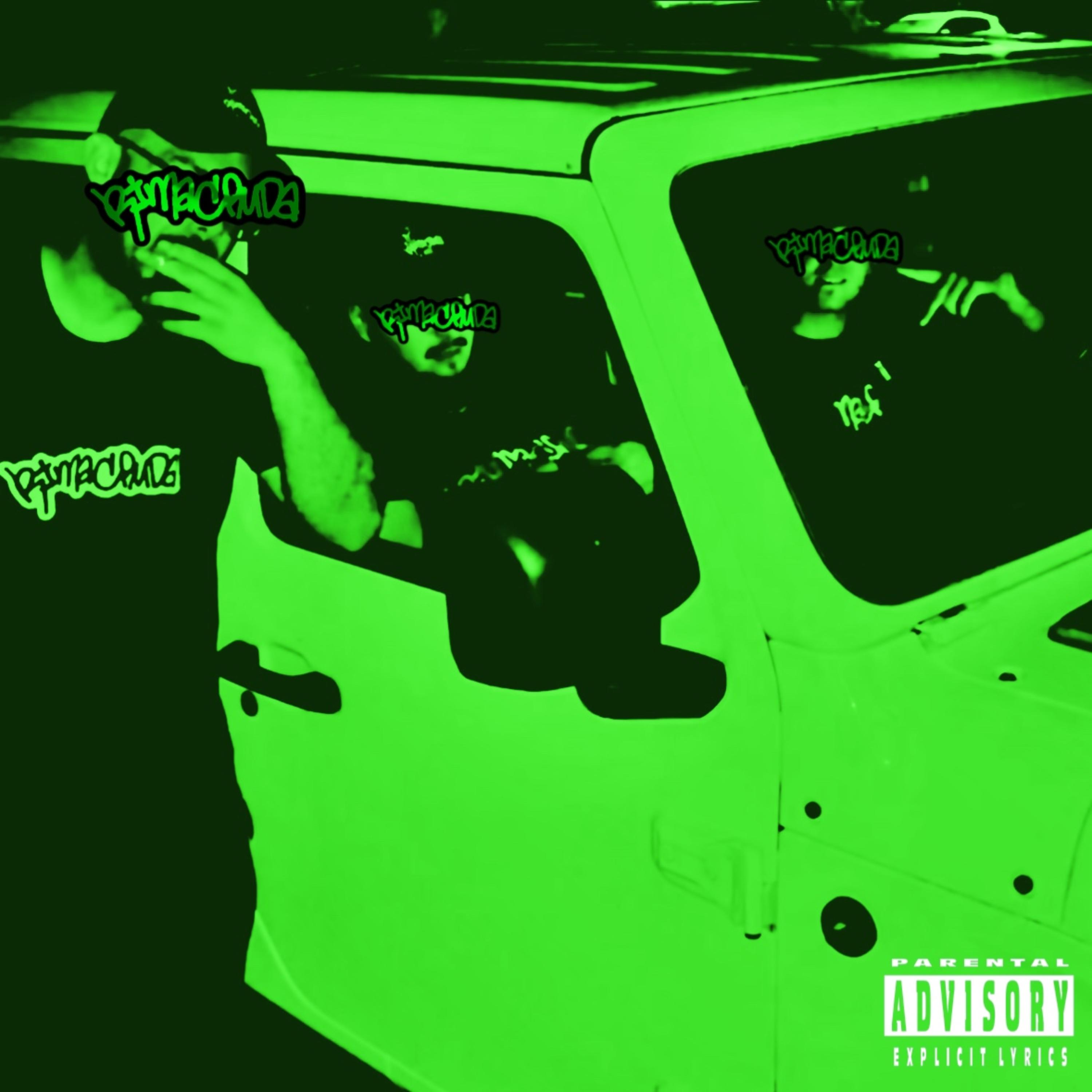 CANCIONverde artwork