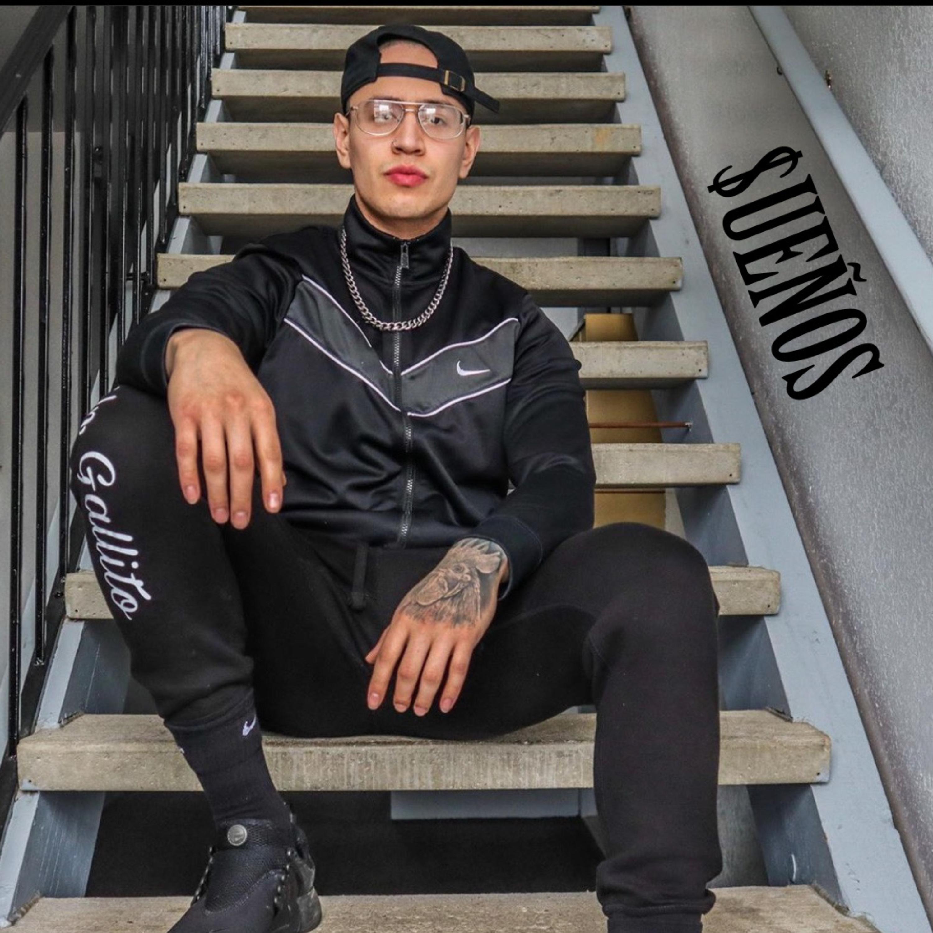 $ueños artwork