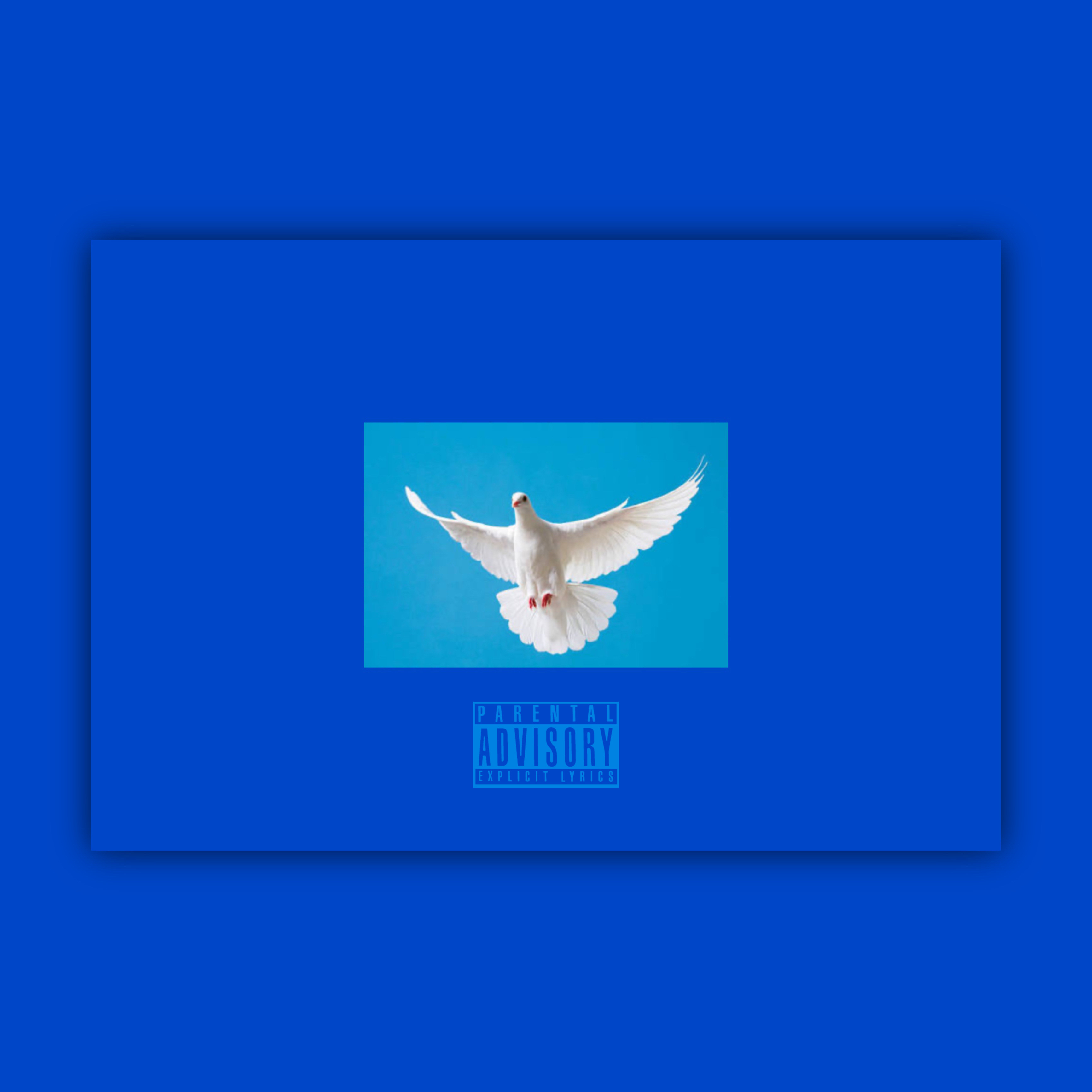 Birdee artwork