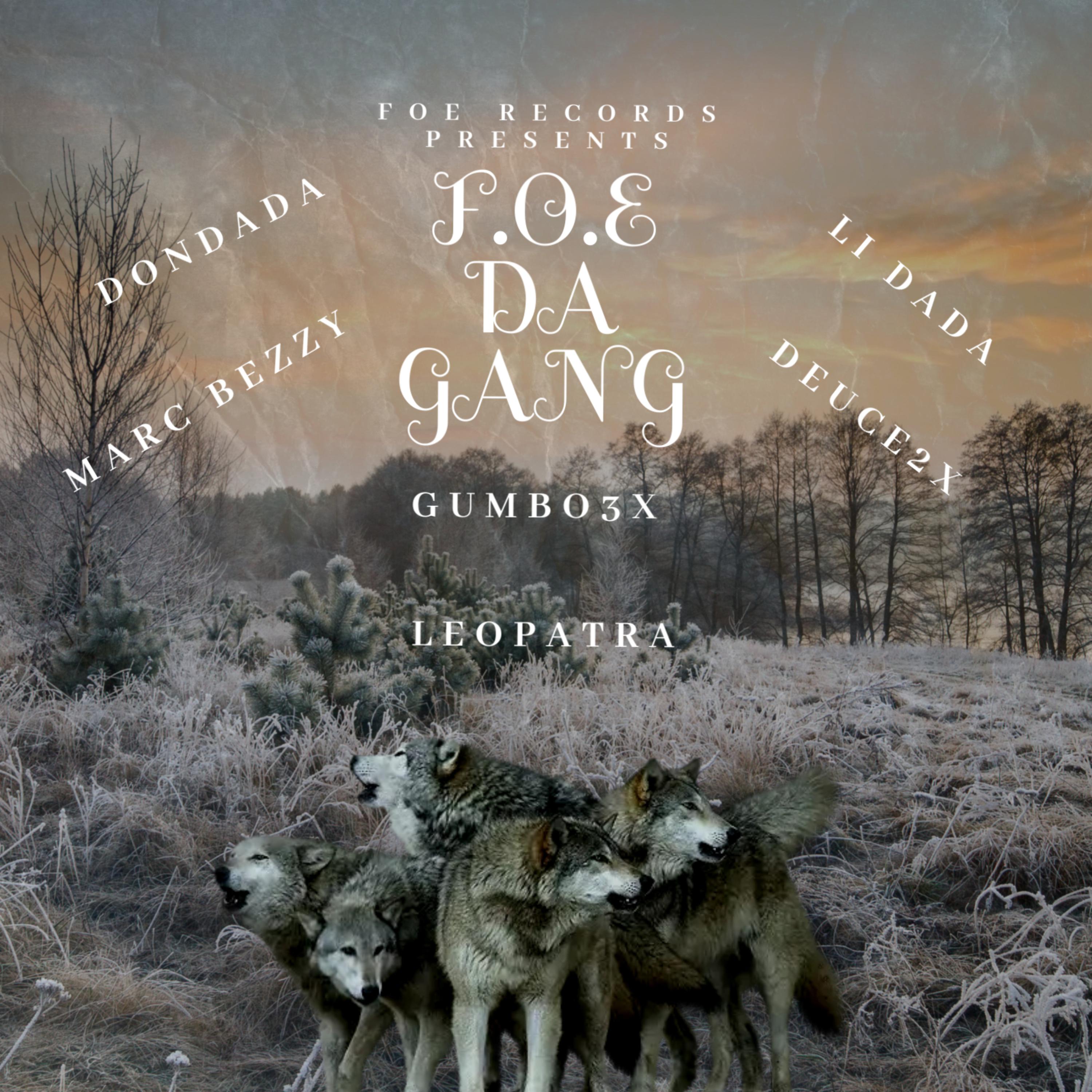 F.O.E DA GANG artwork