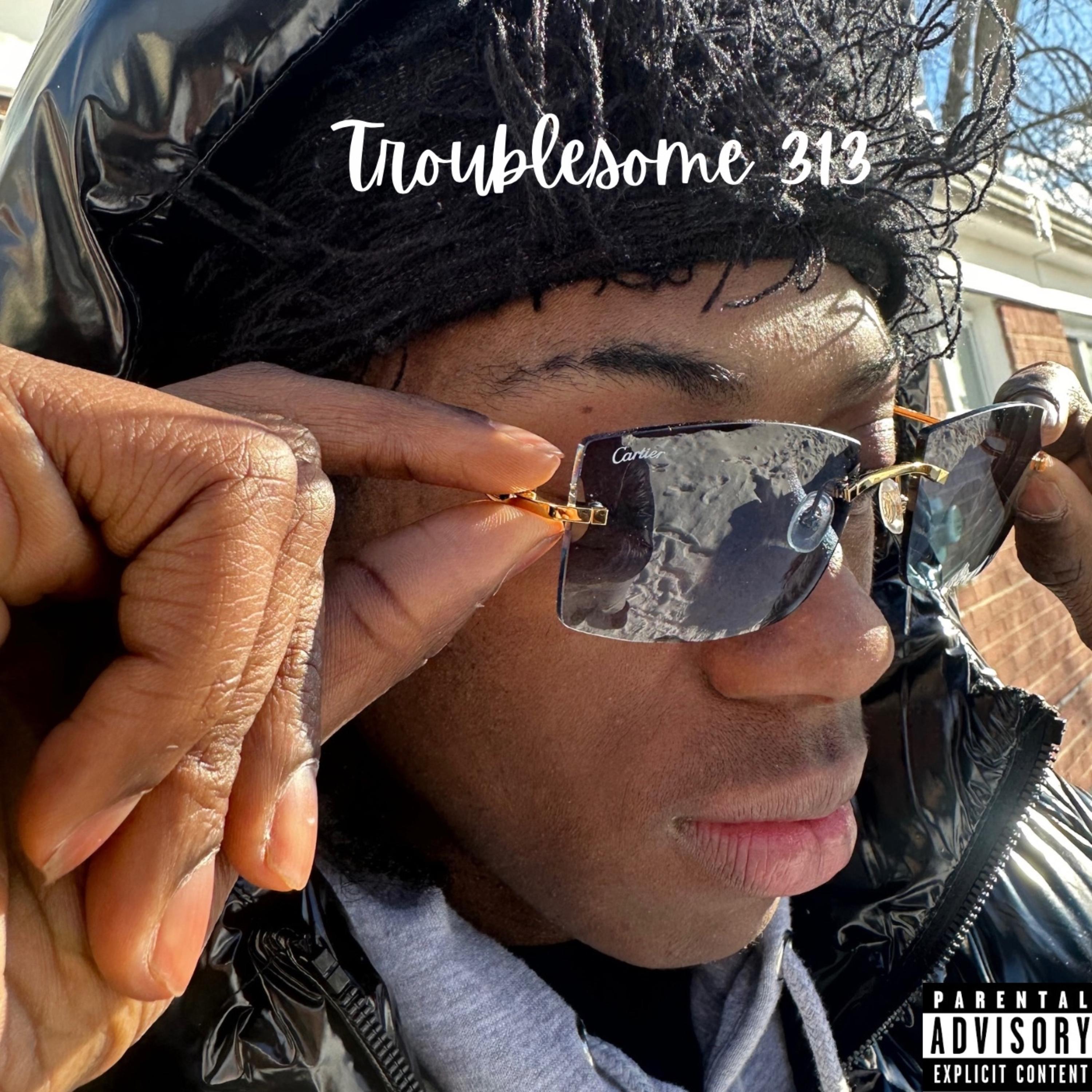 Troublesome 313 artwork
