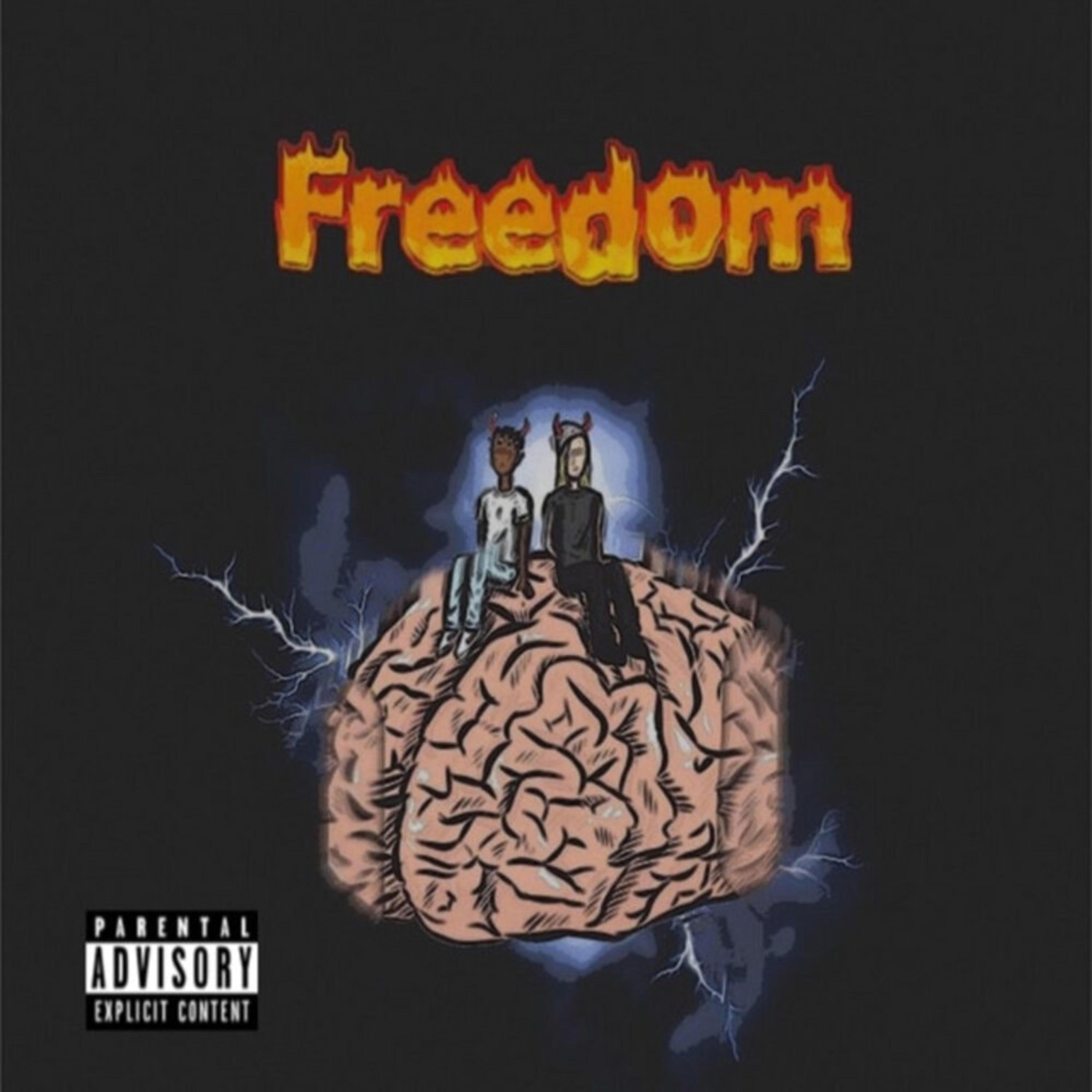 Freedom artwork