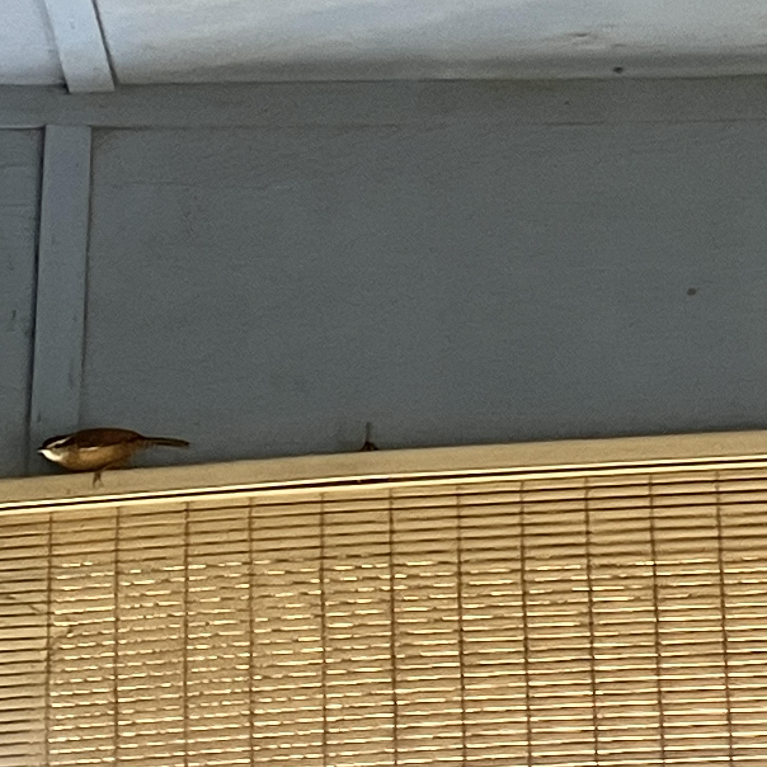 I feel like staten island this torch artwork