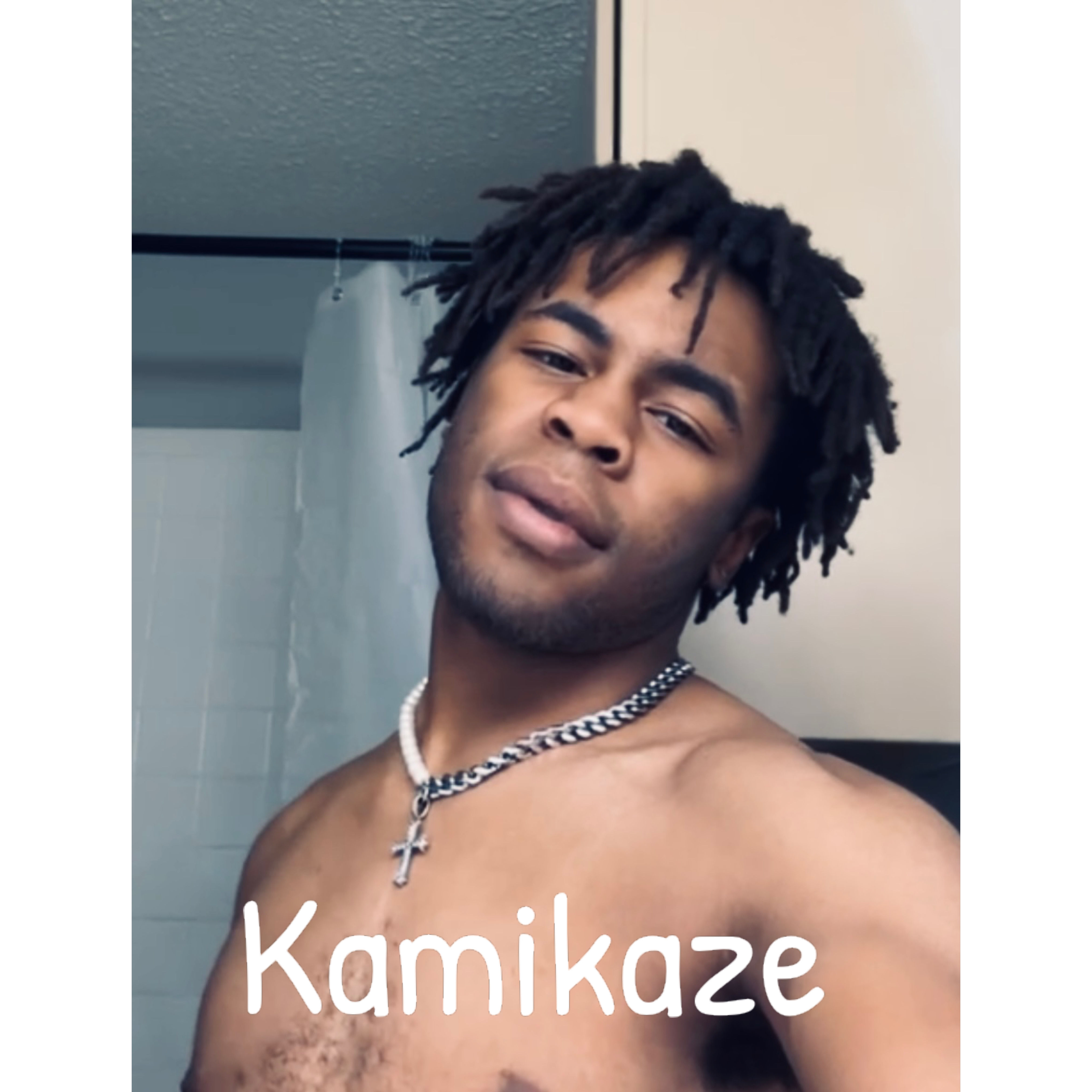 Kamikaze artwork
