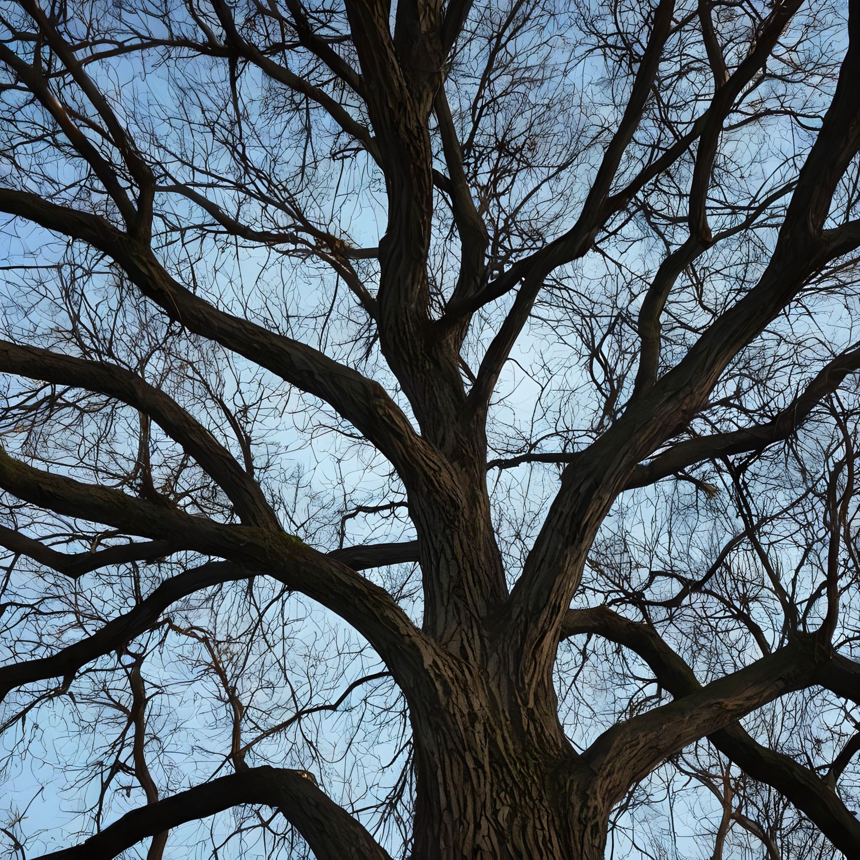 The Tree Remembers artwork