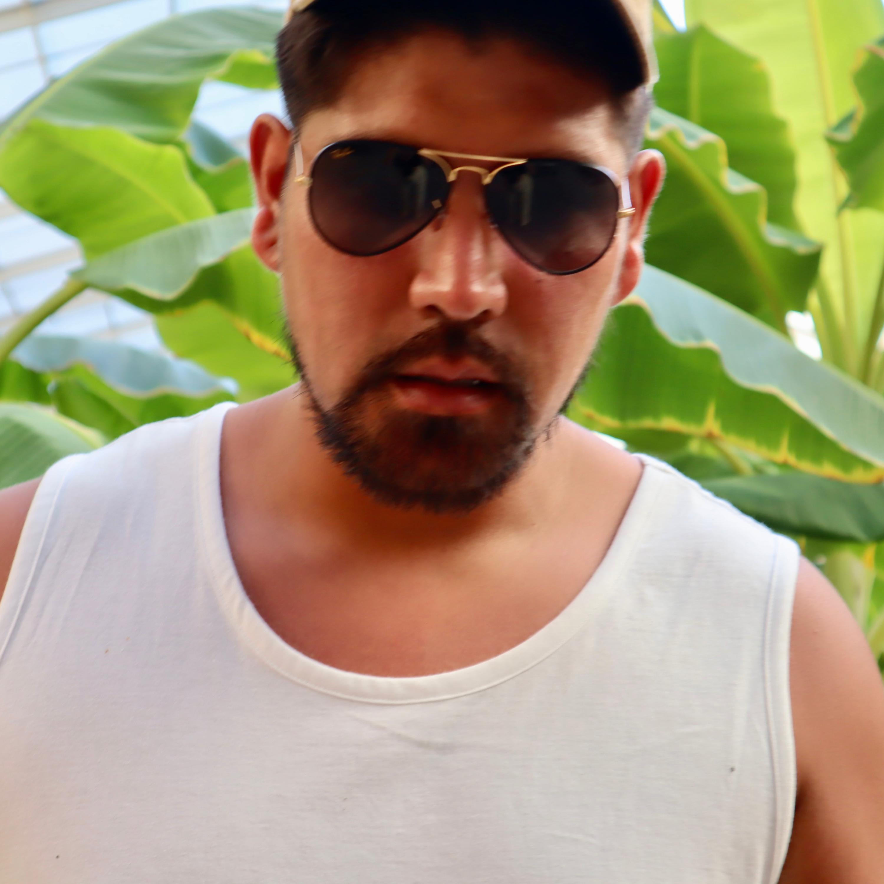 In Mixed Company vol. 2 (The Mixtape) artwork