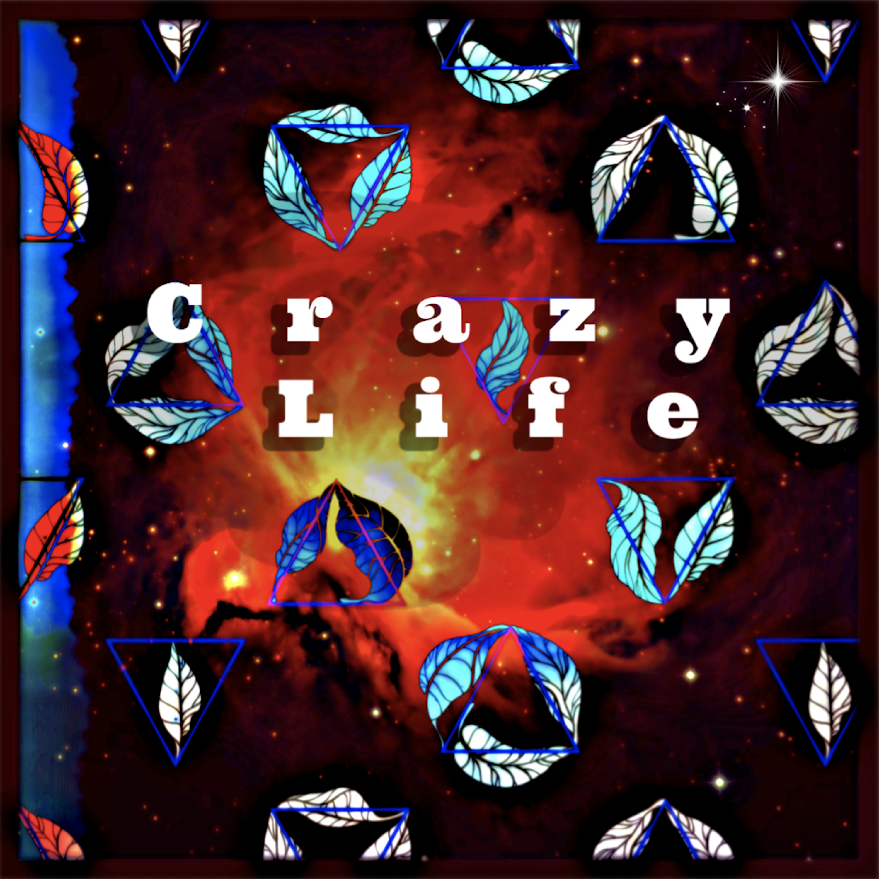 Crazy Life artwork