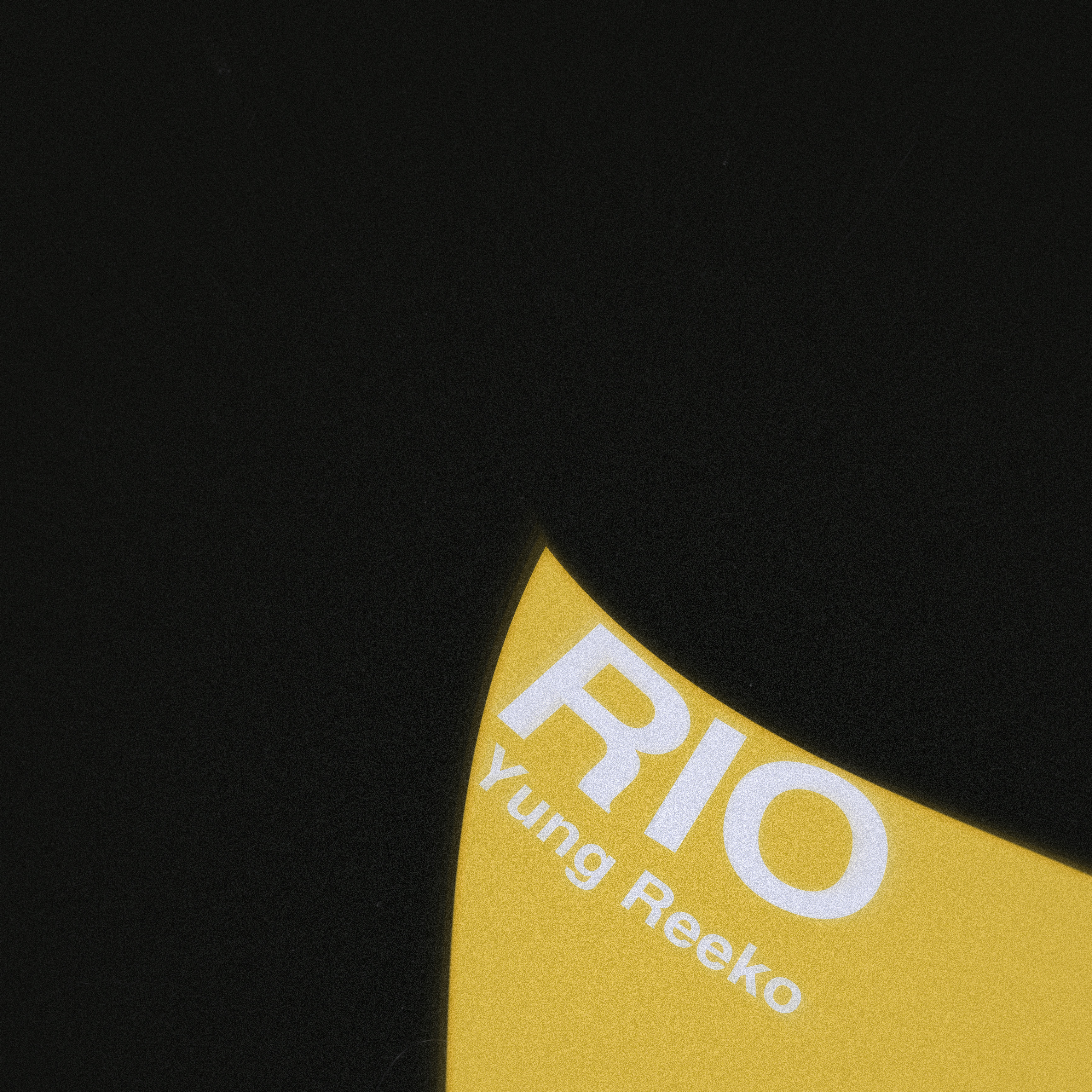 RIO artwork