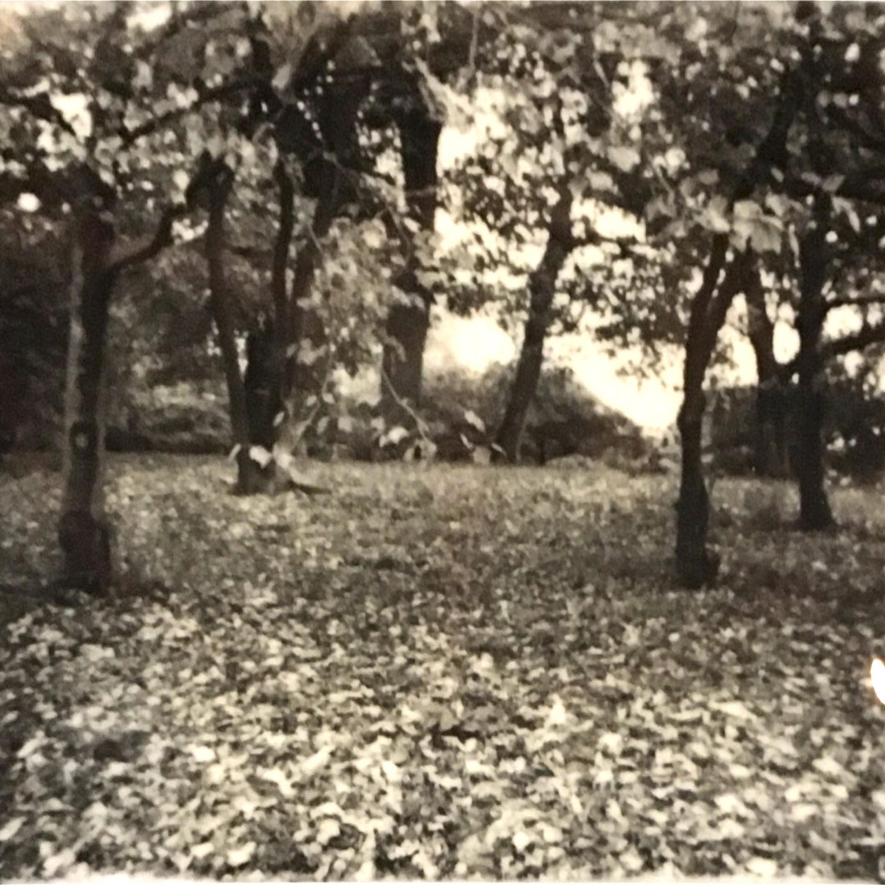 Sunken In The Same Place artwork