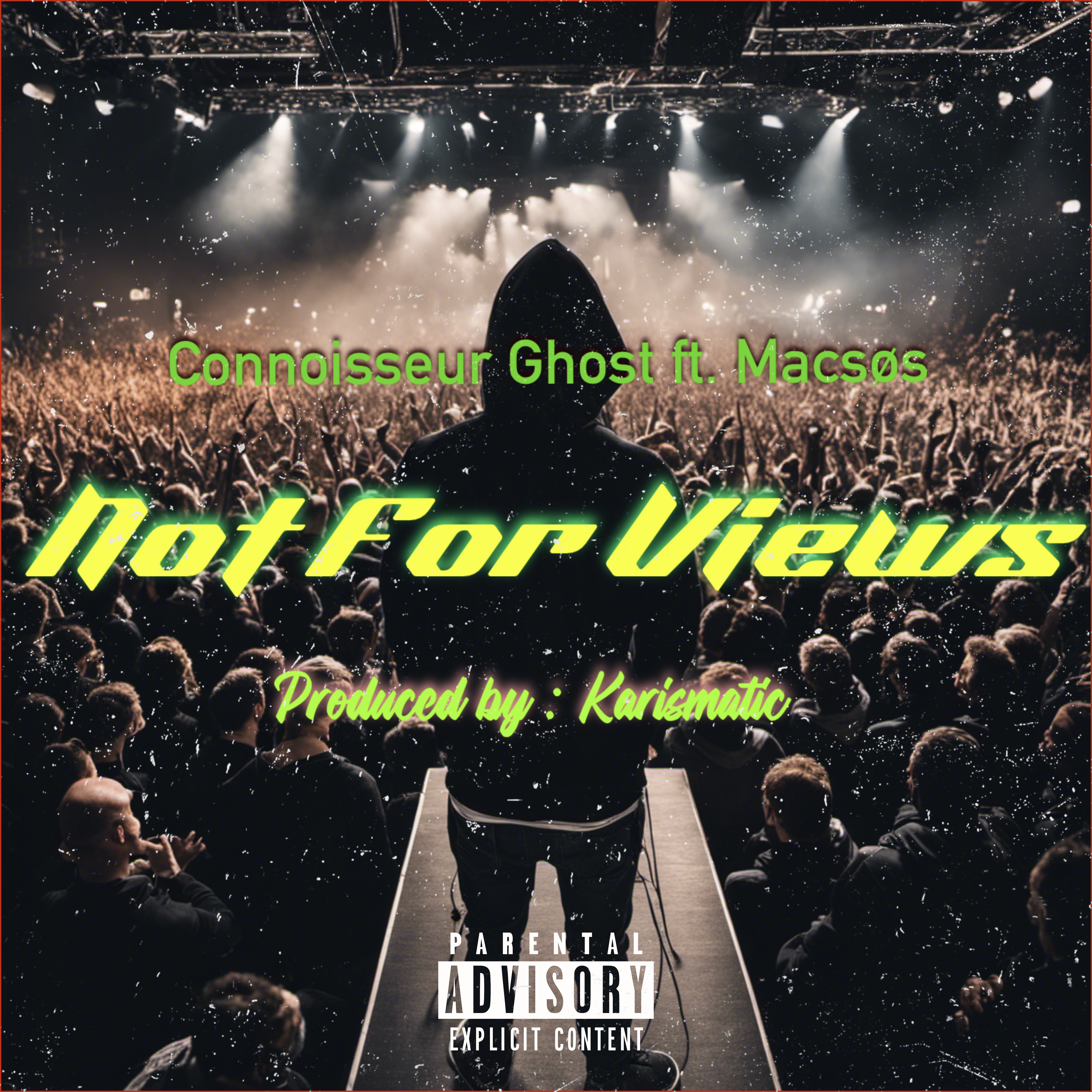 Not For Views  artwork