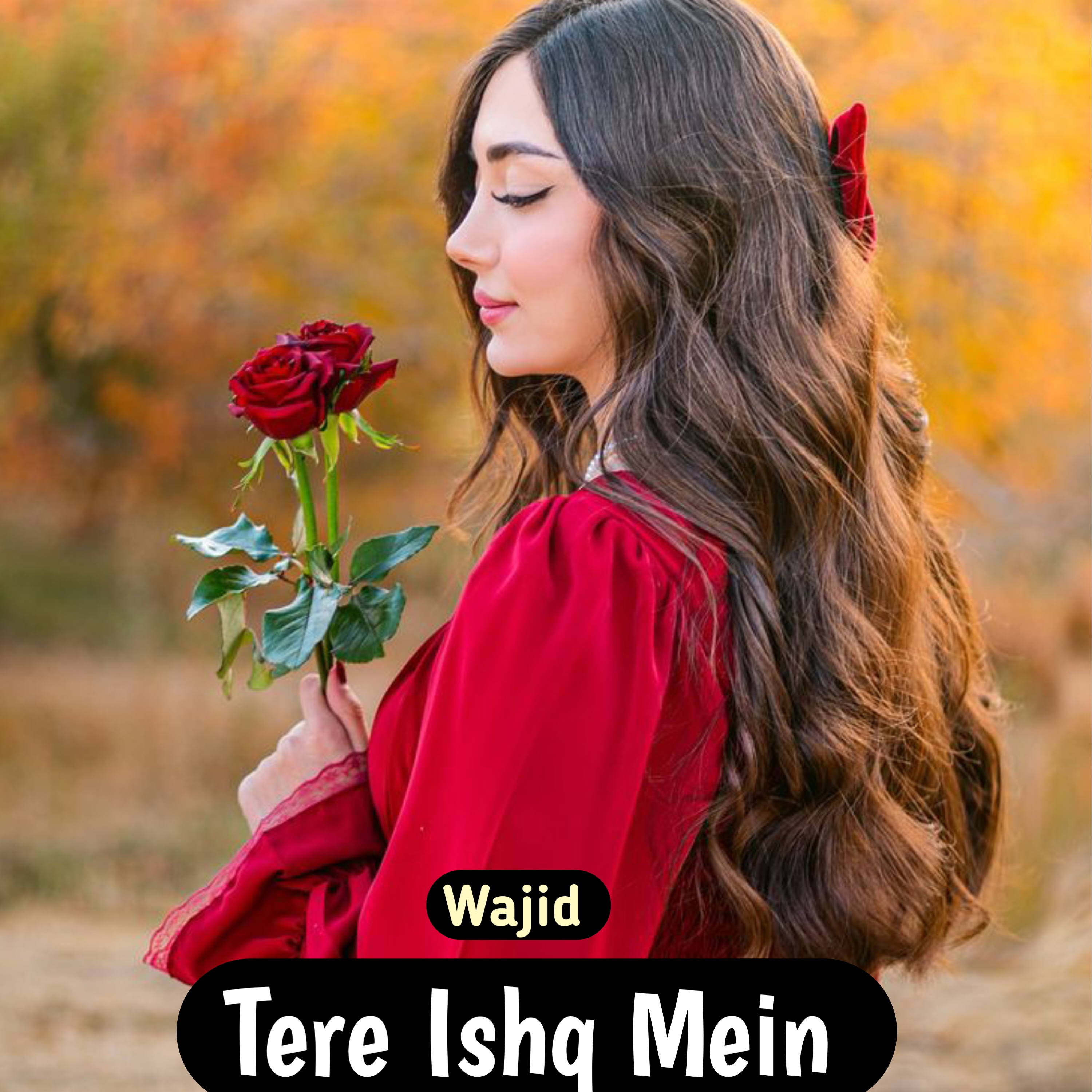 Tere Ishq Mein artwork