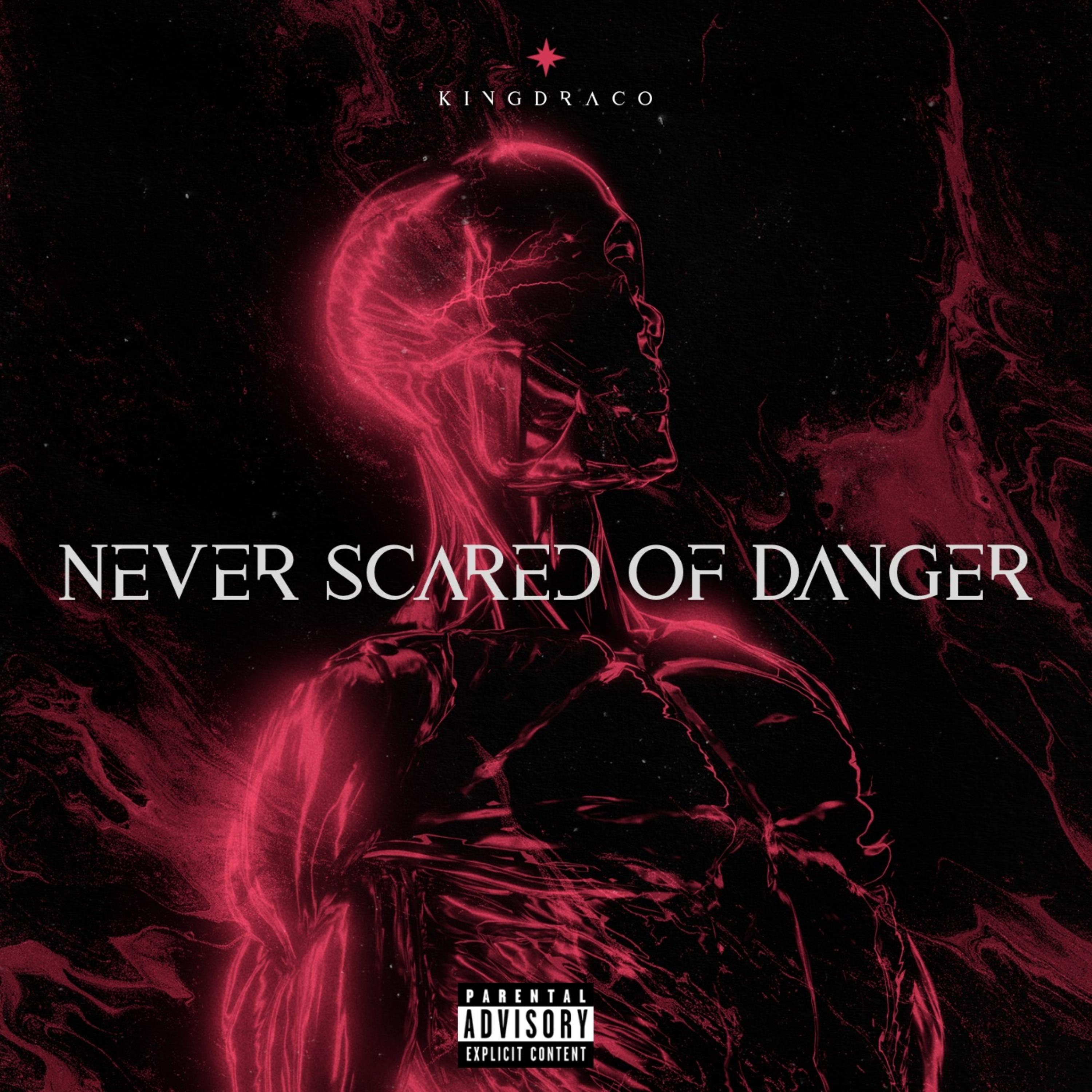 Never Scared Of Danger artwork