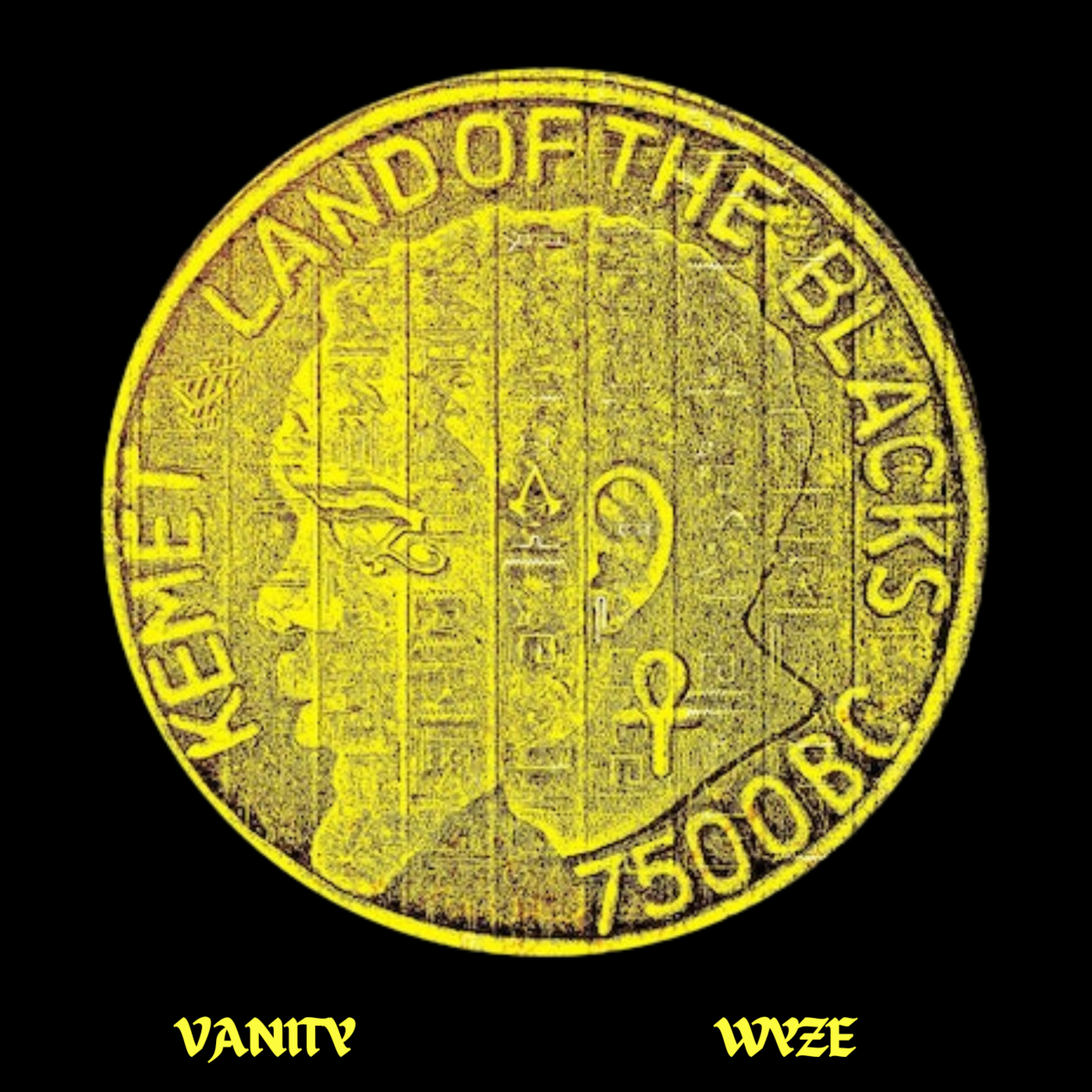CURRENCY by Vanity Wyze cover art
