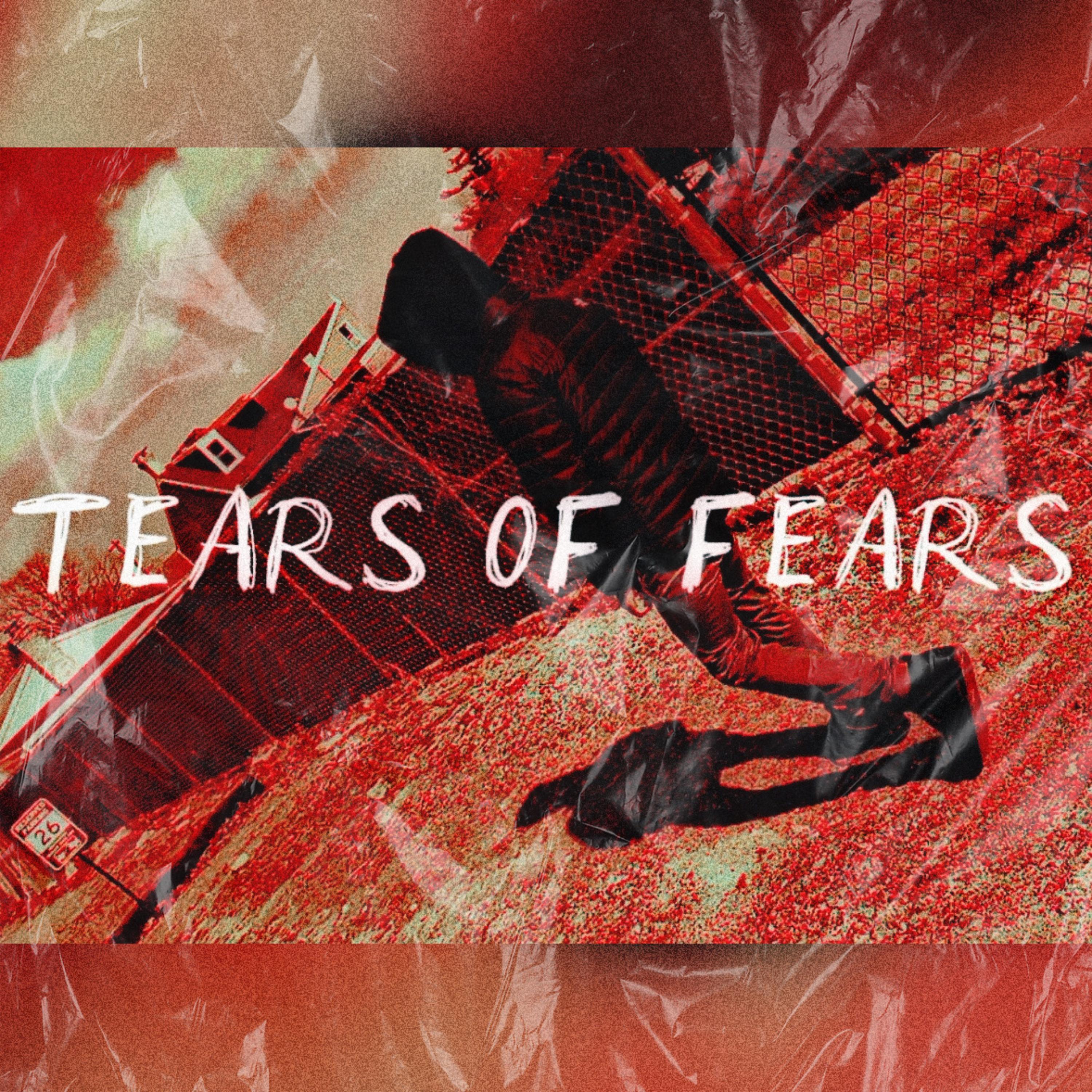 Tears Of Fears artwork