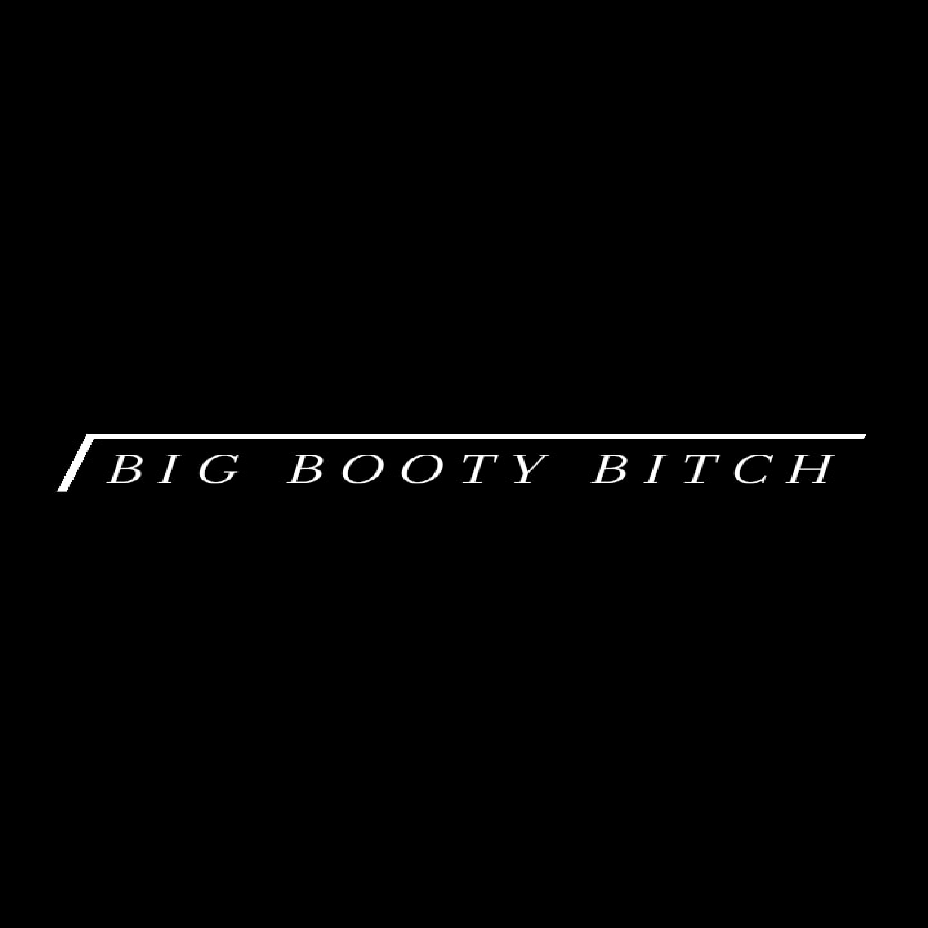 Big Booty Bitch artwork