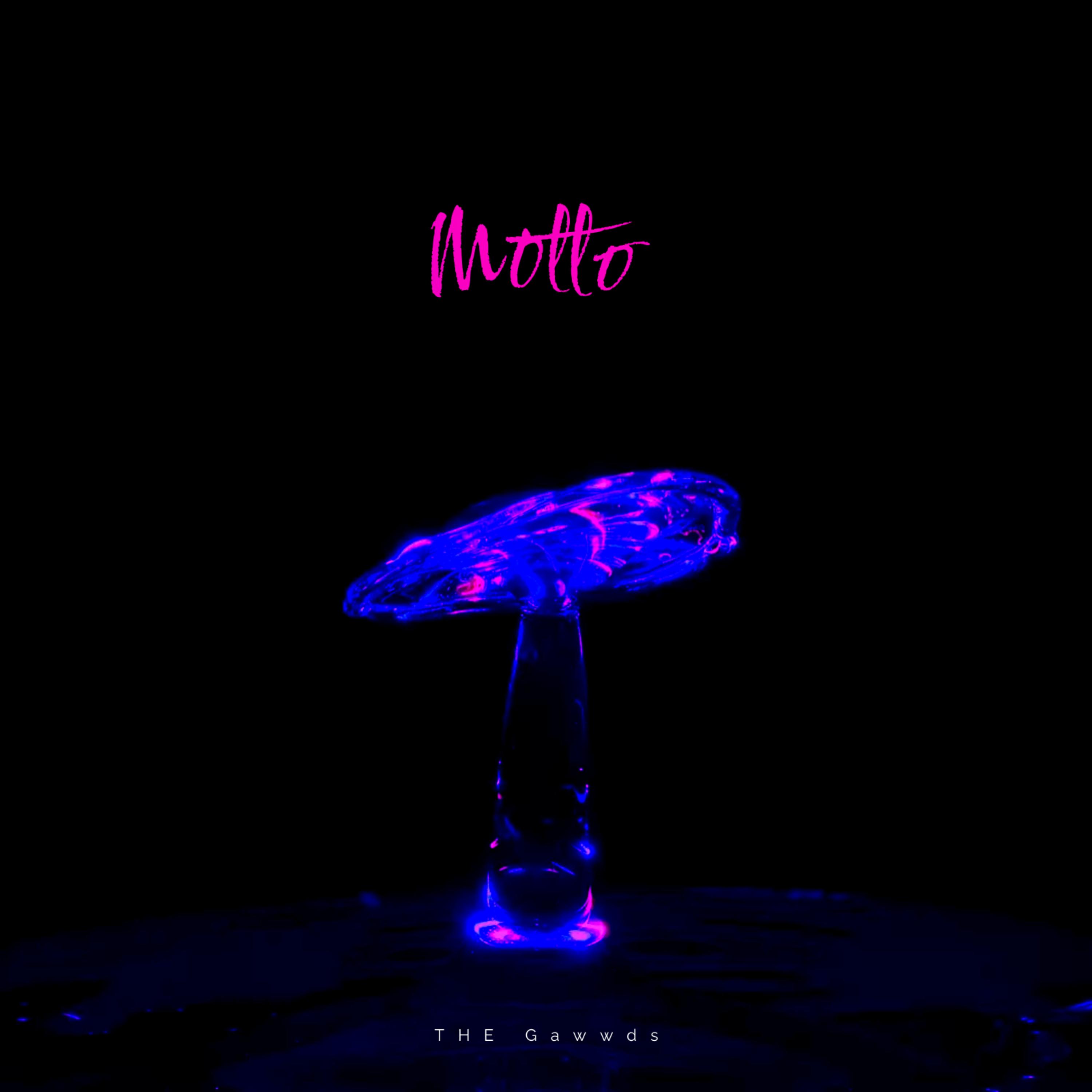 motto by THE GAWWDS cover art
