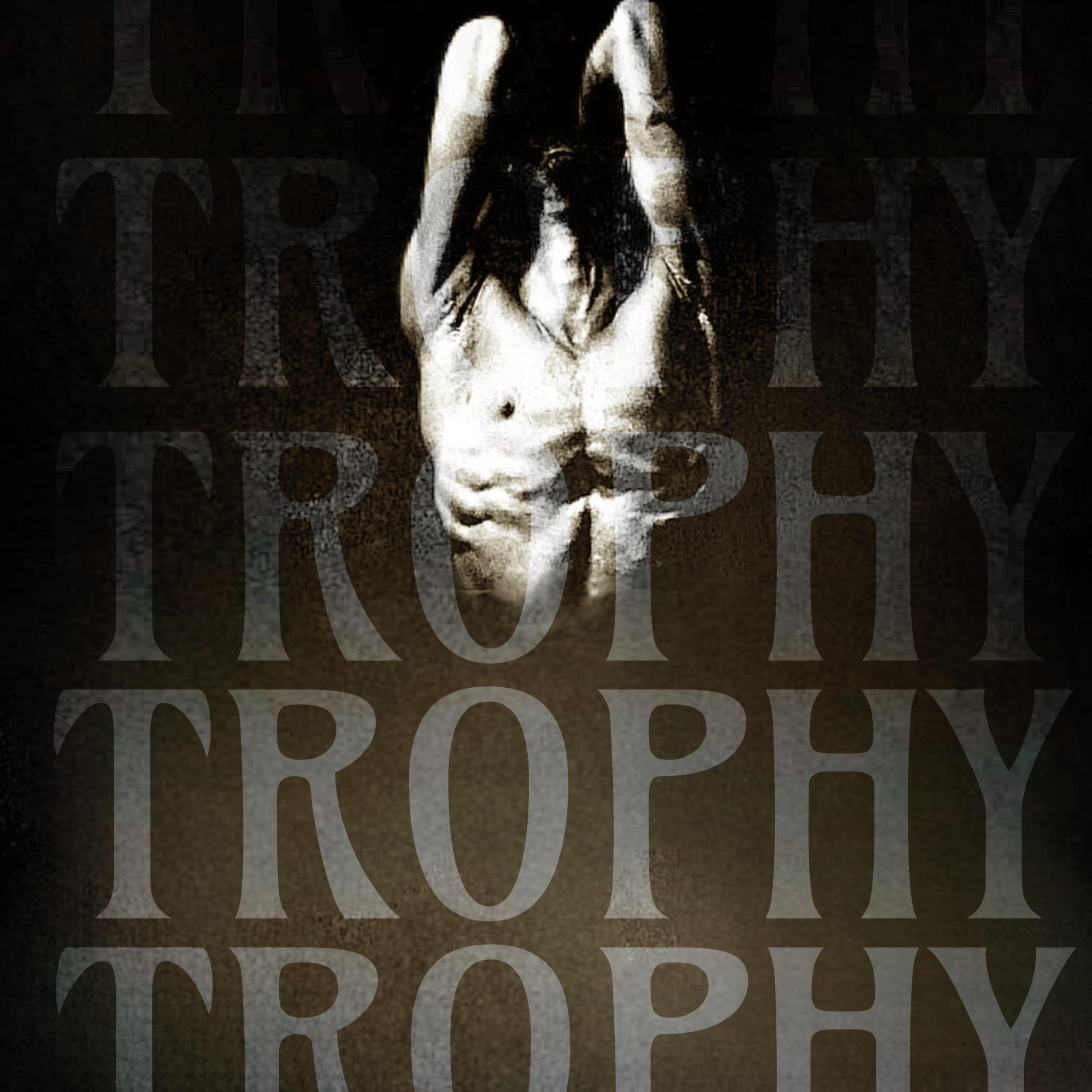 Trophy artwork