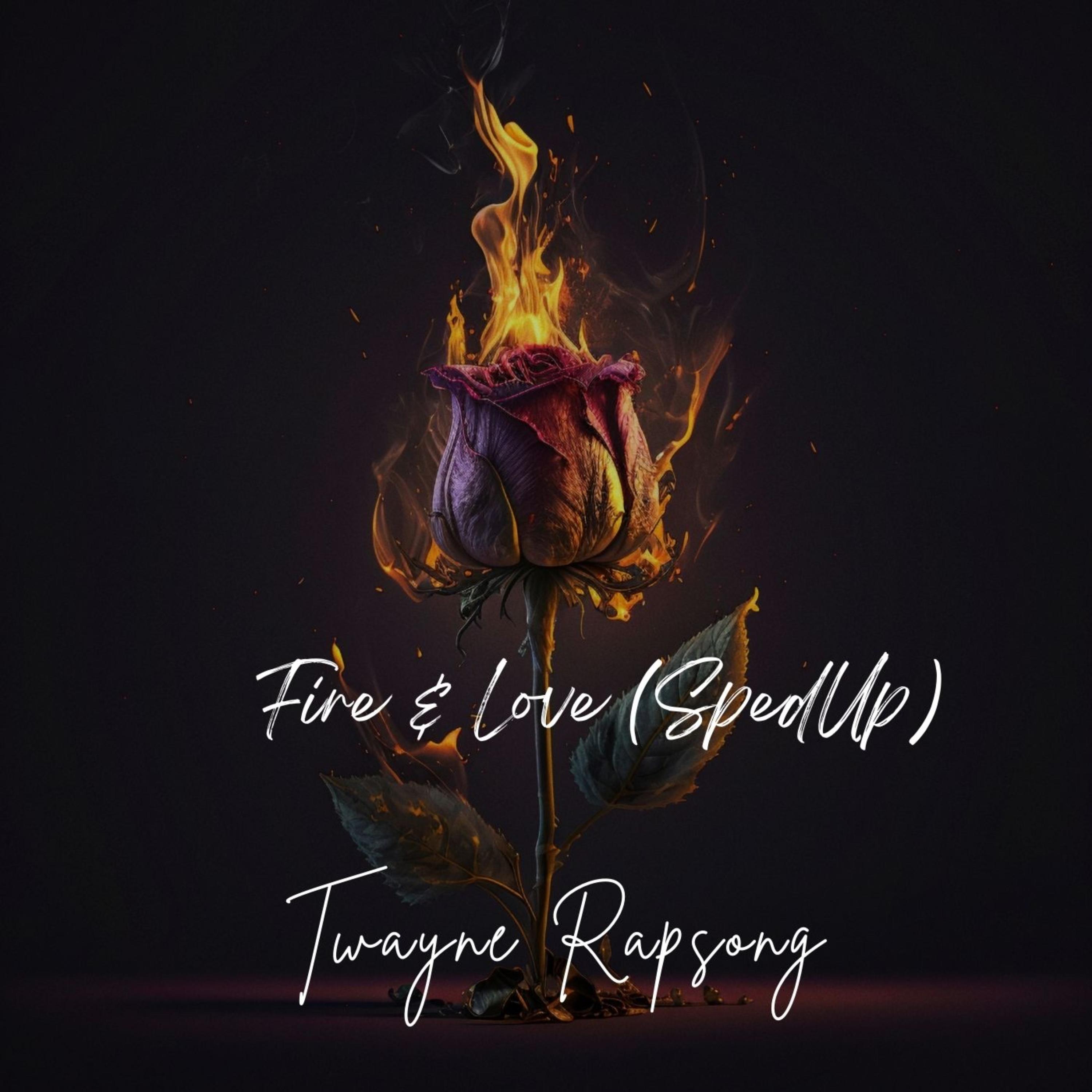 Fire & Love (SpedUp) Version artwork