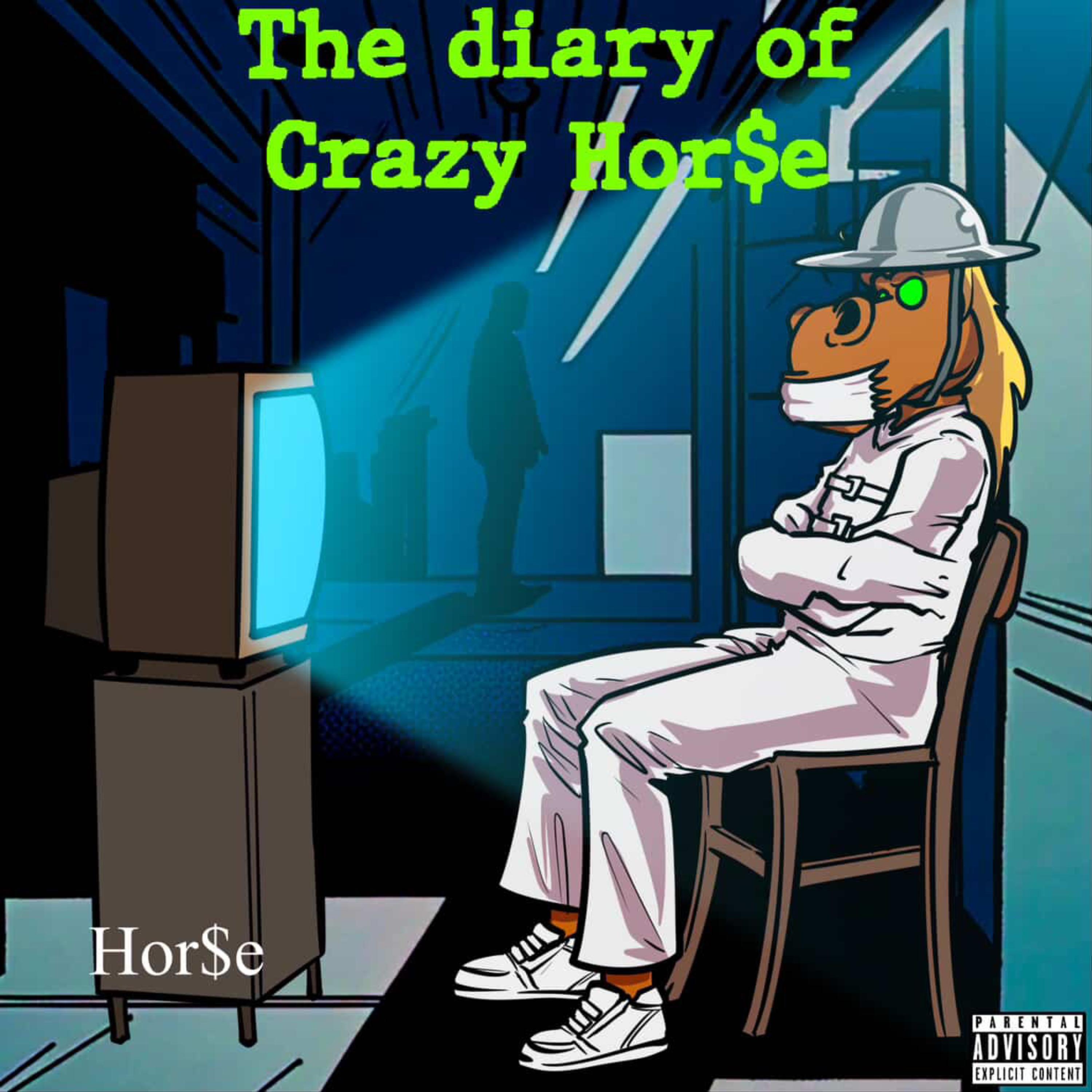 The Diary Of Crazy Horse artwork