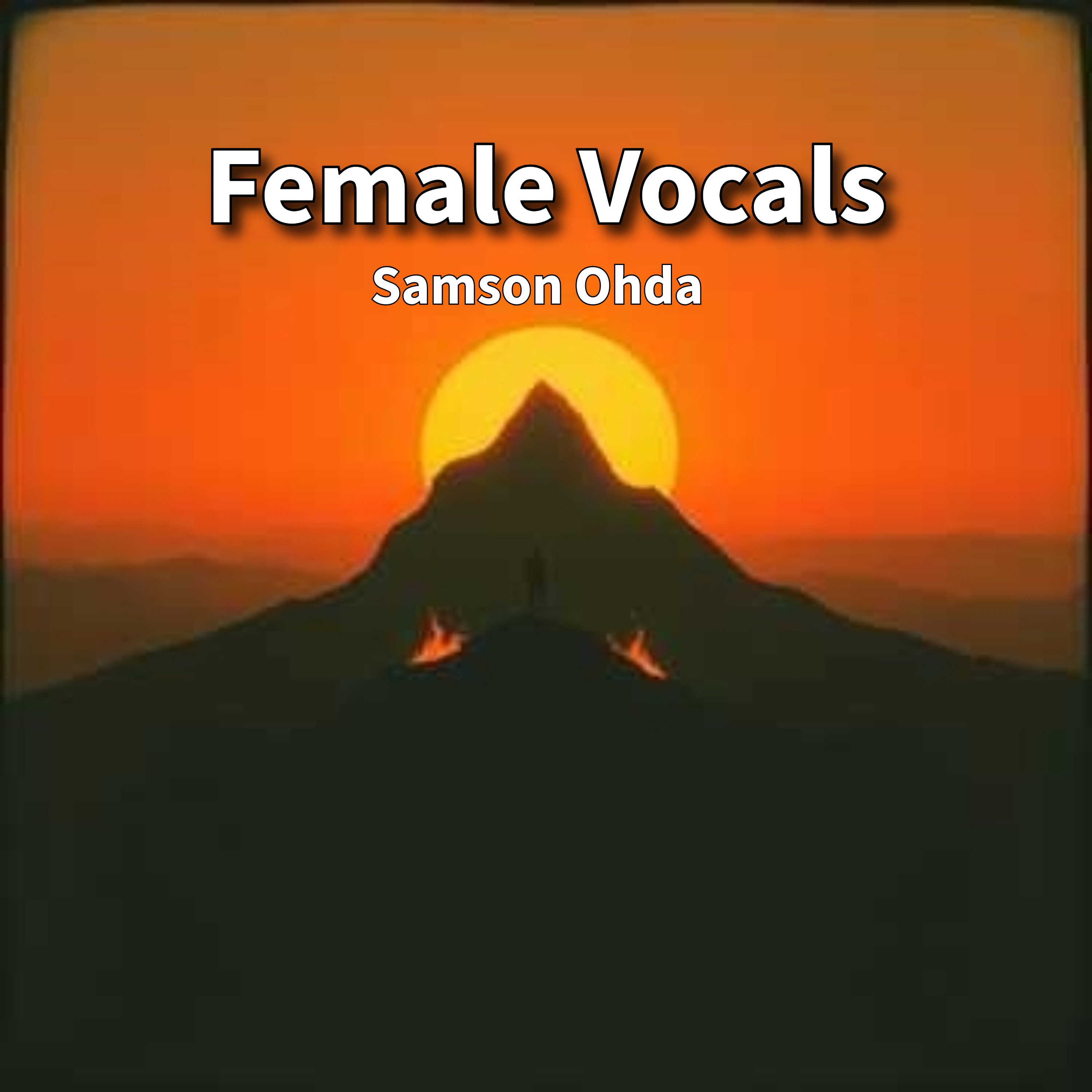 Female Vocals Vol 1 artwork