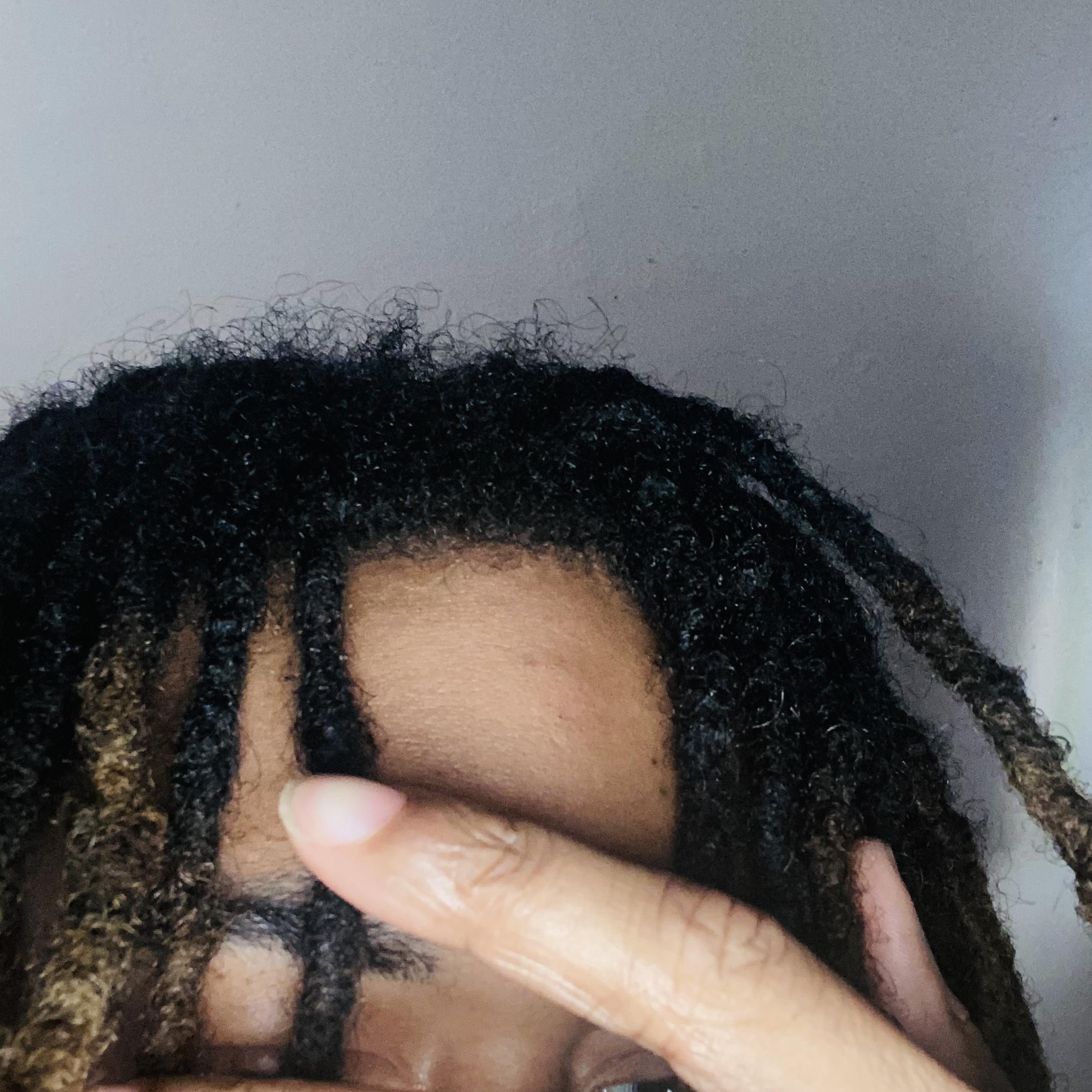 bummy artwork