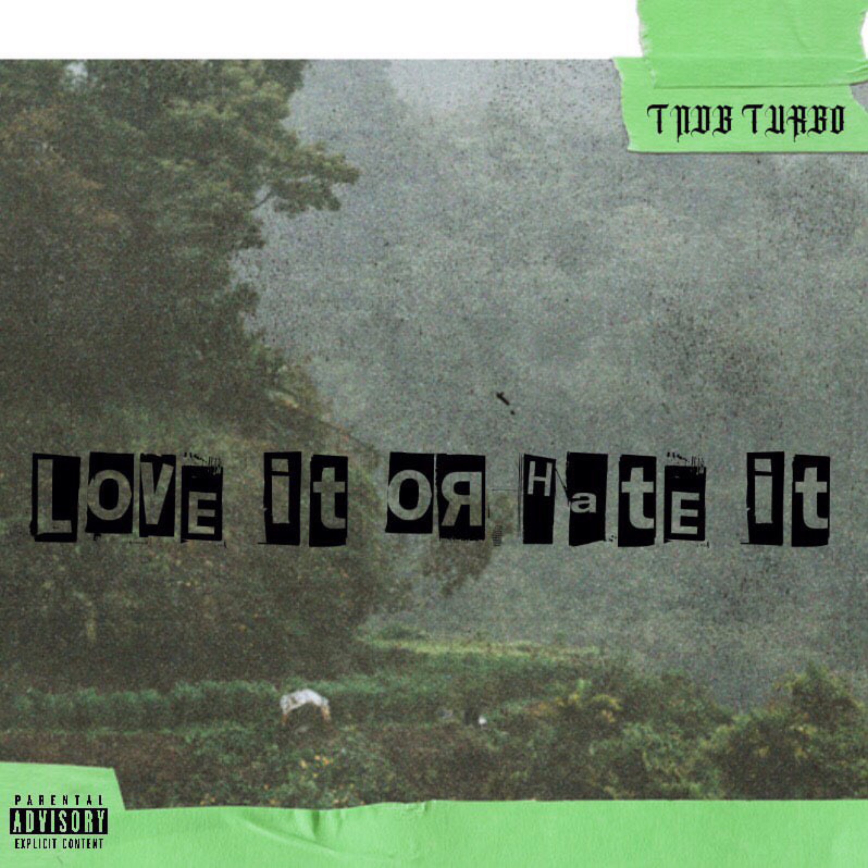 Love It Or Hate It artwork