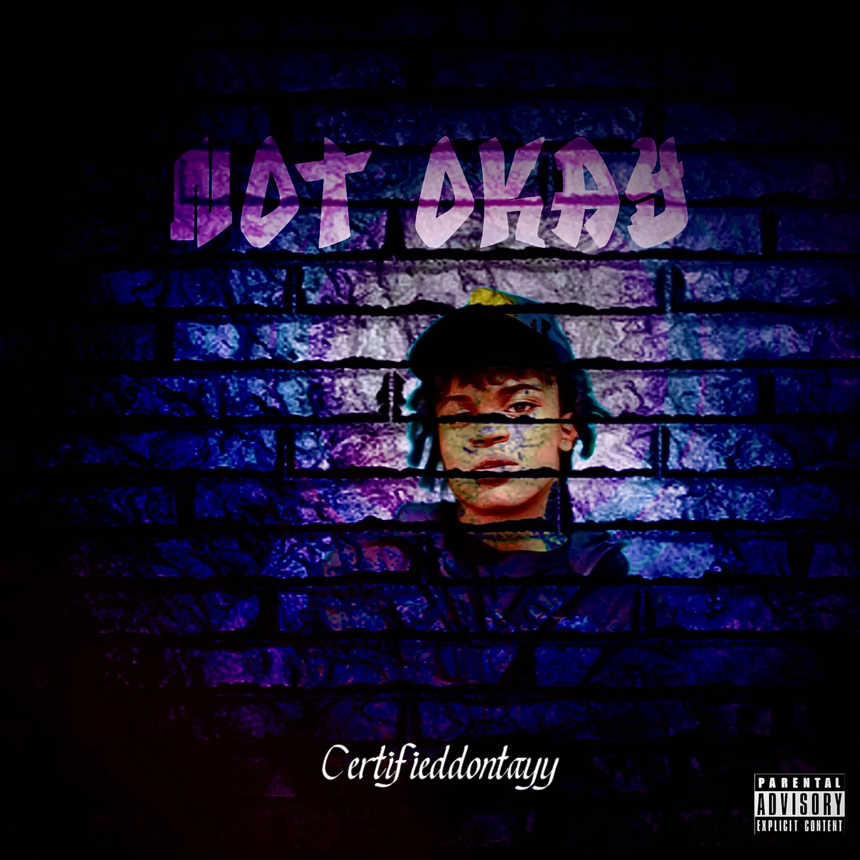 Not Okay artwork