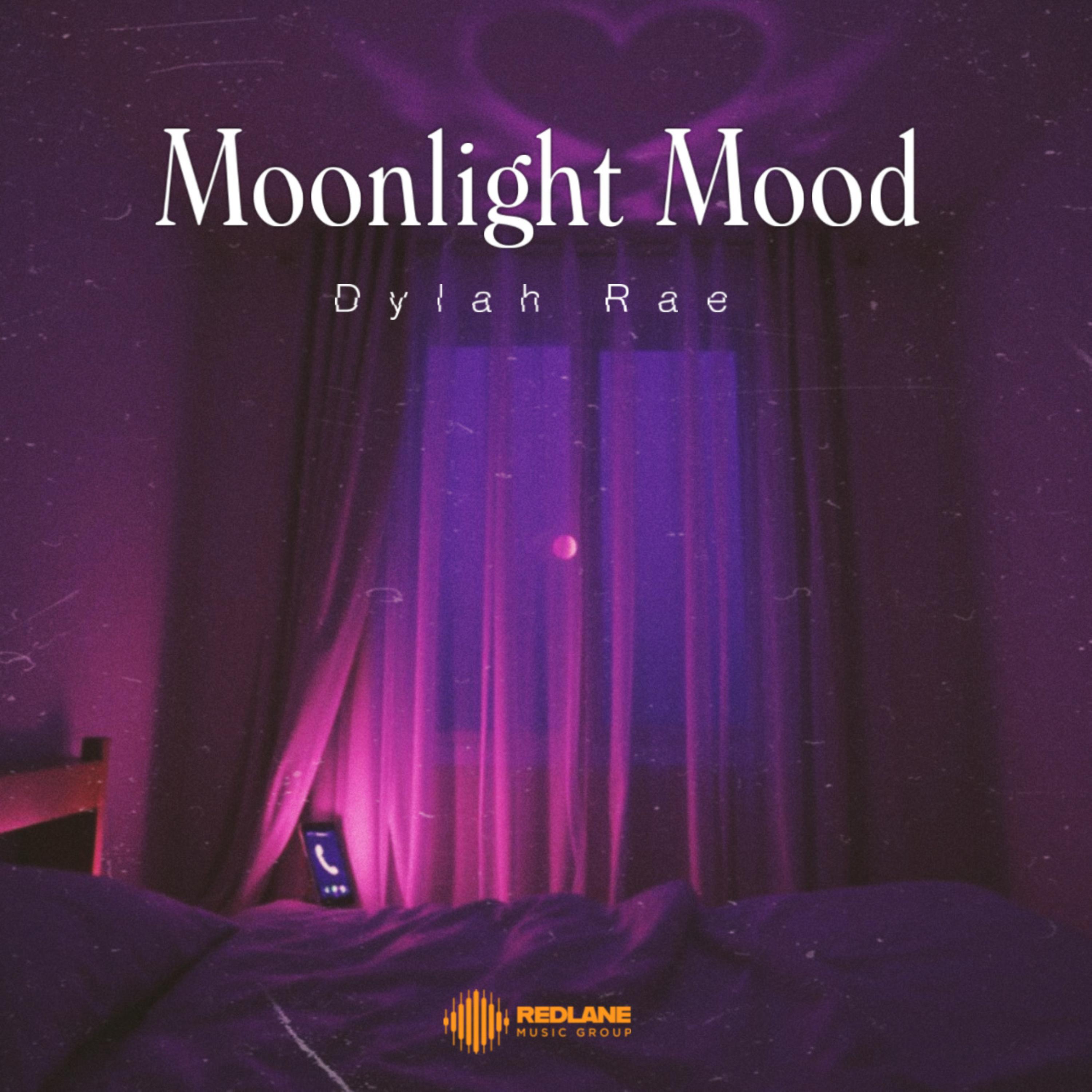 Moonlight Mood artwork
