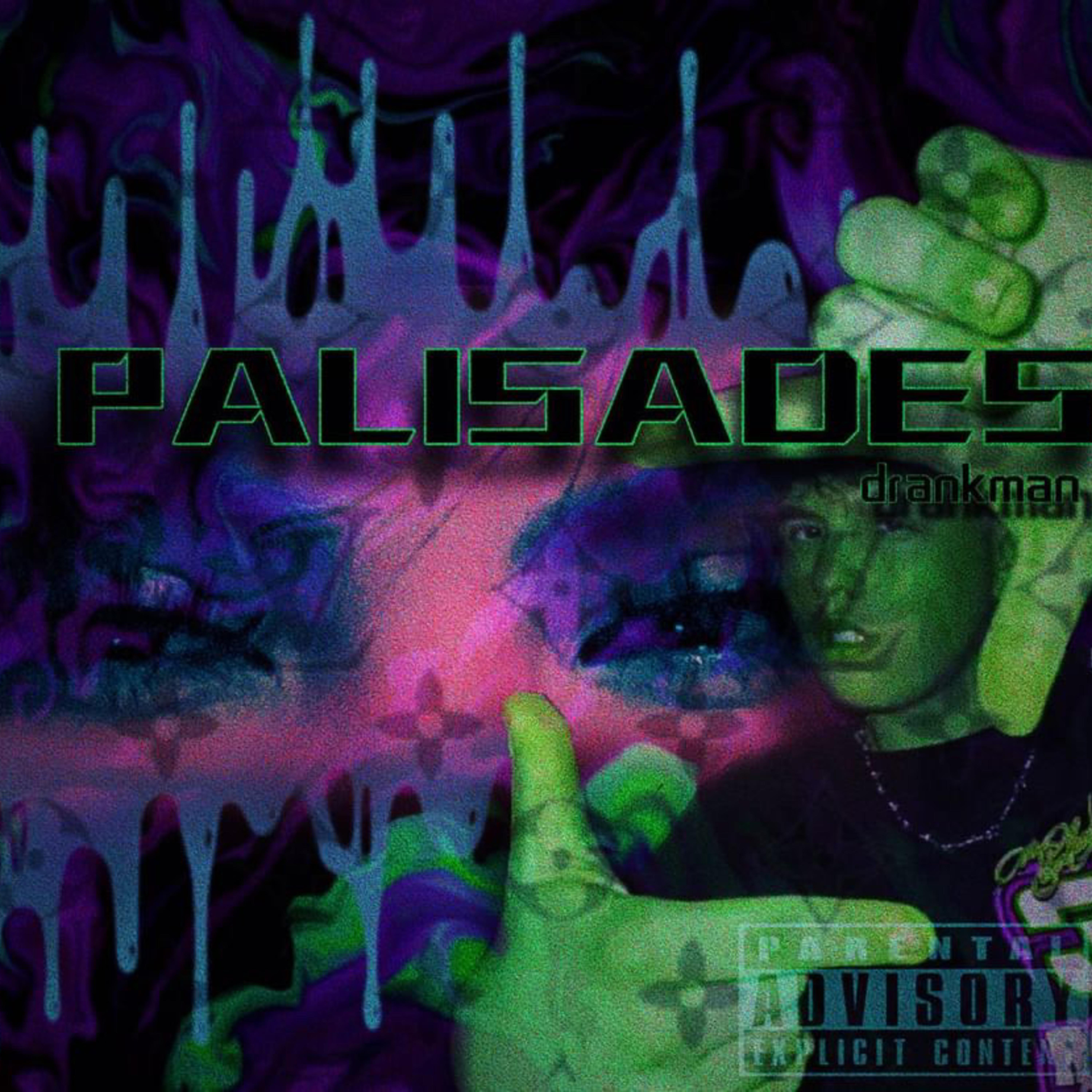 PALISADES artwork