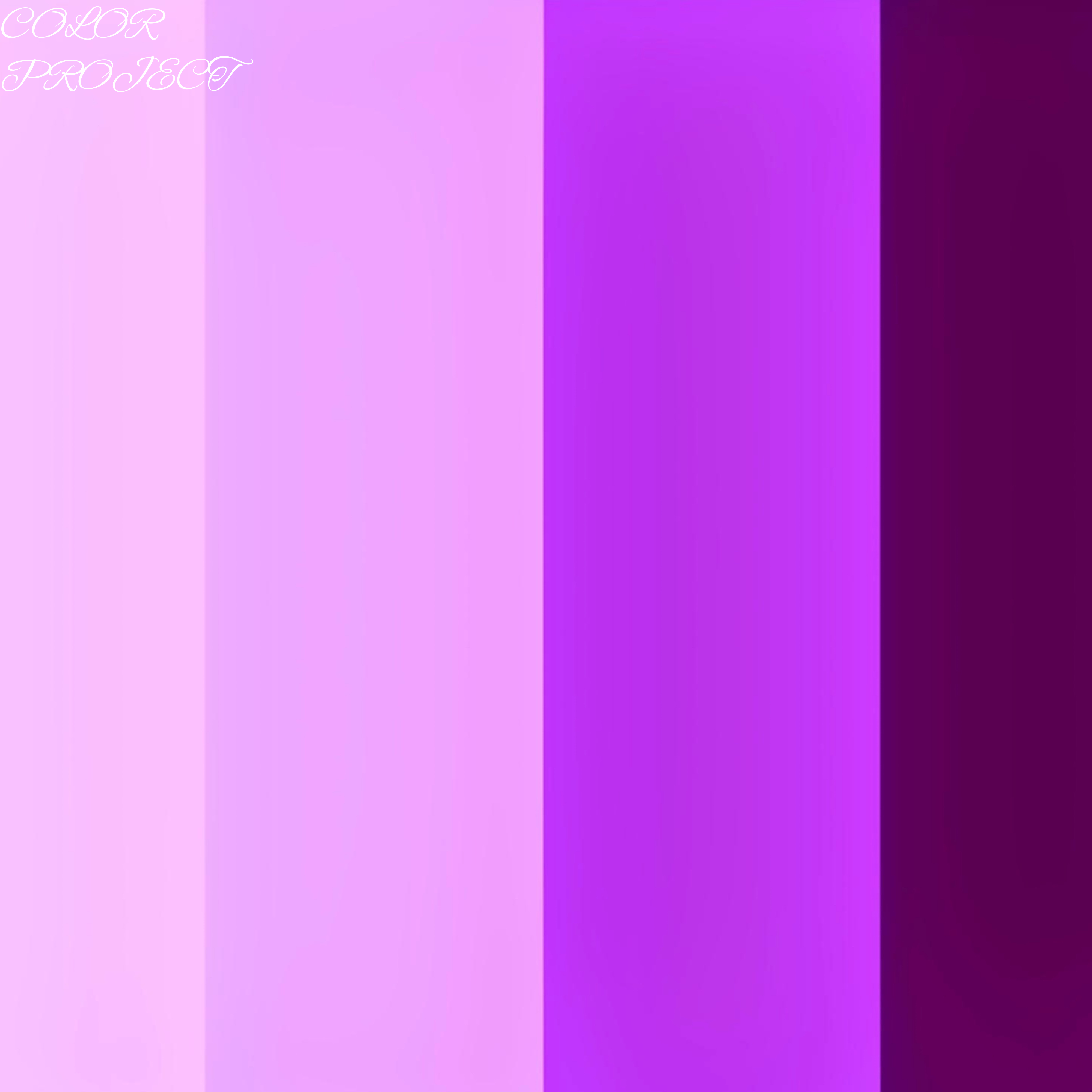 COLOR PROJECT: PURPLE artwork