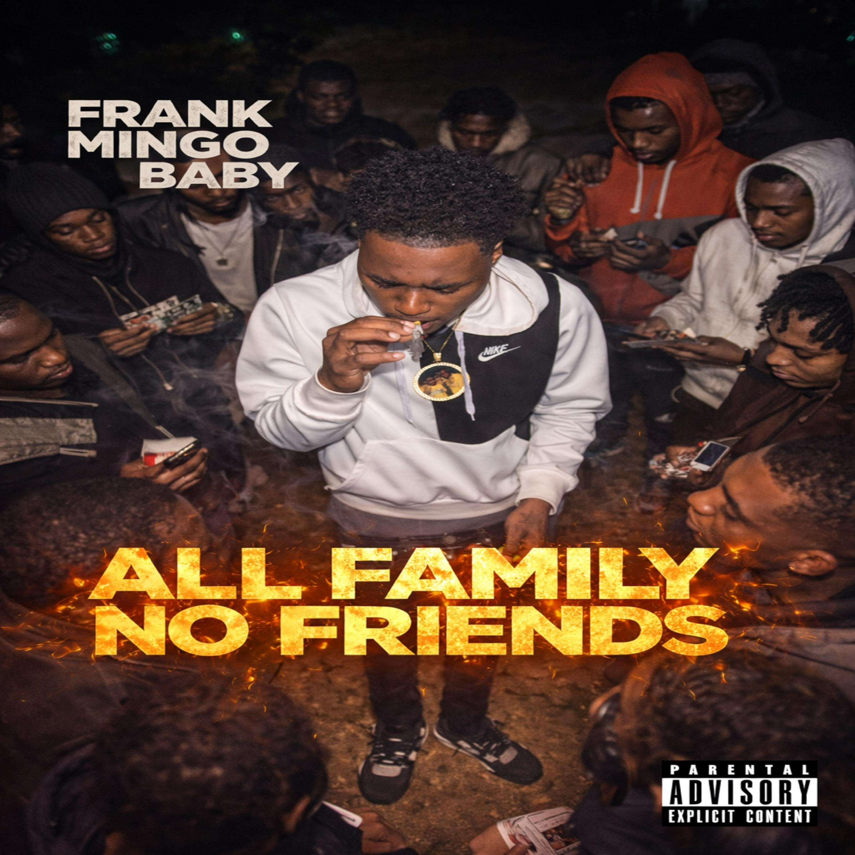 All Family No Friends by Frank Mingo Baby cover art
