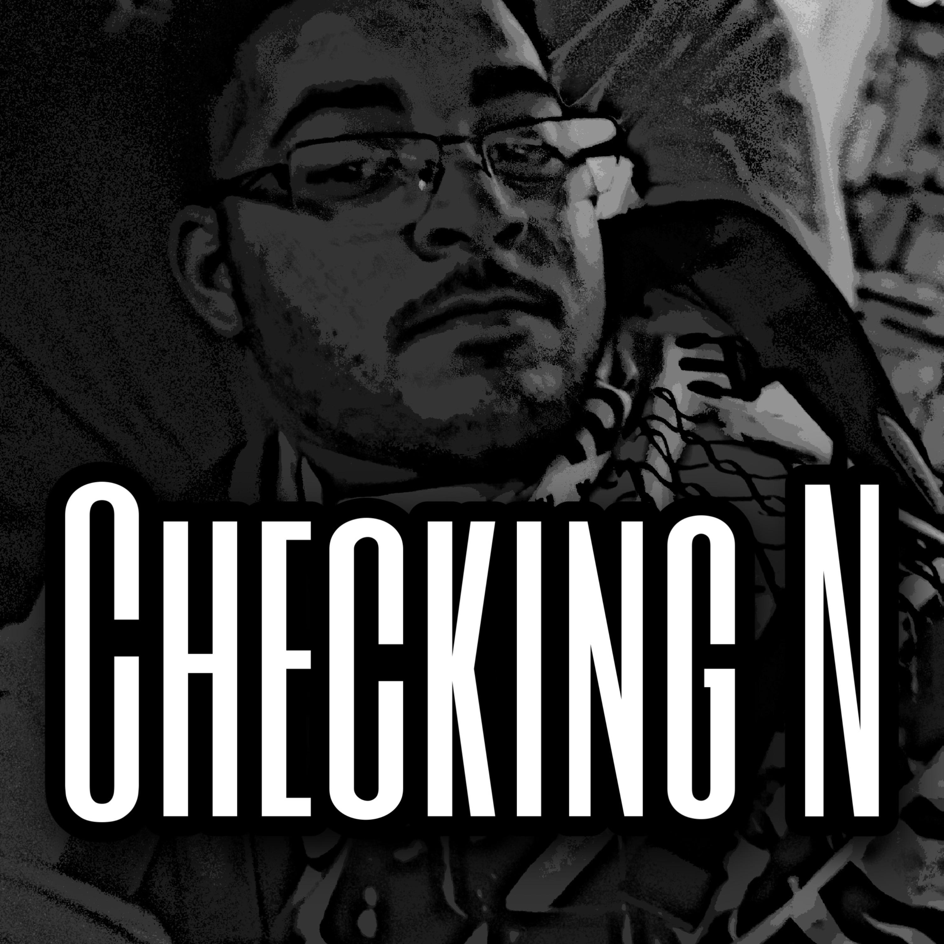 Checking N by Frosty On A Hot Day cover art
