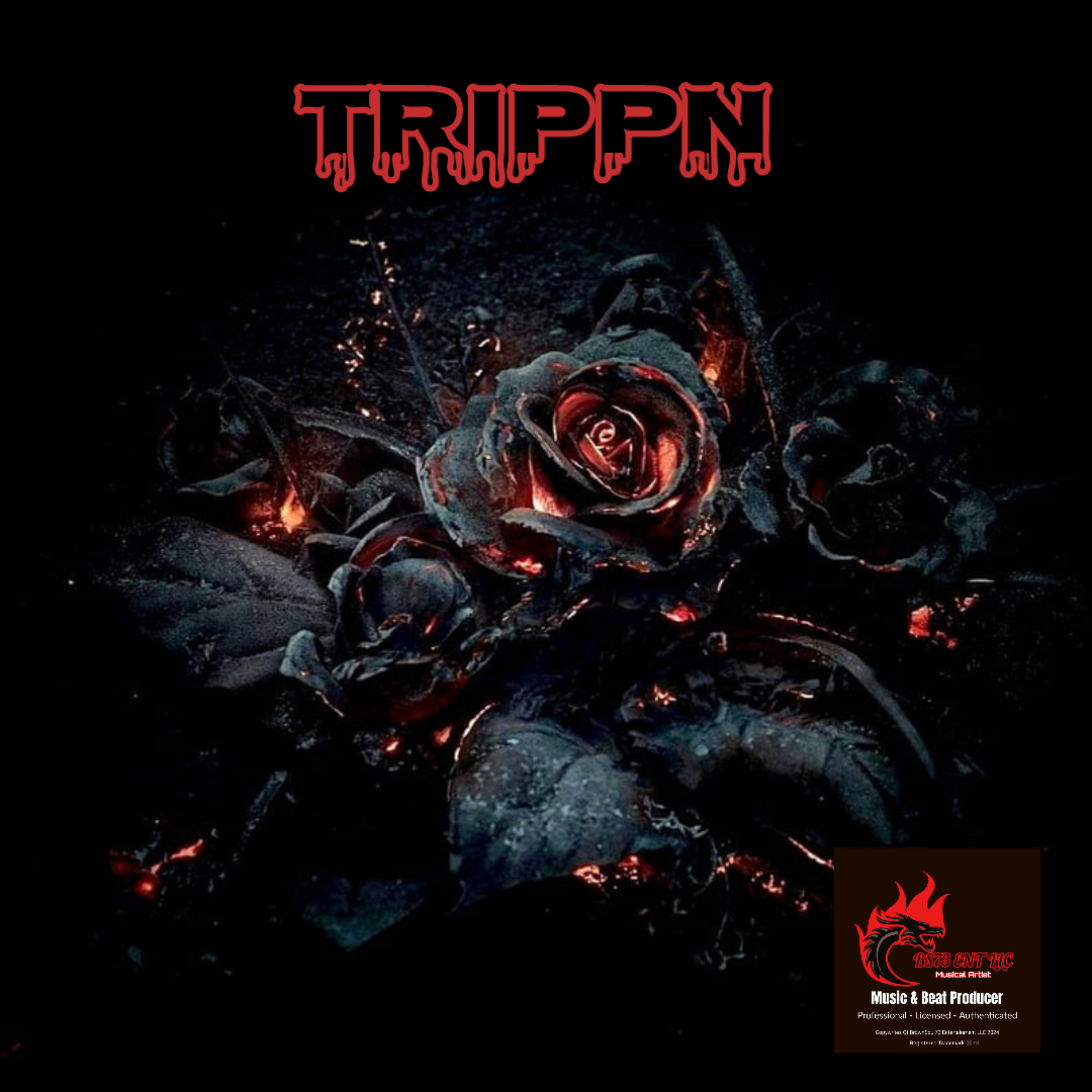 TRIPPN artwork
