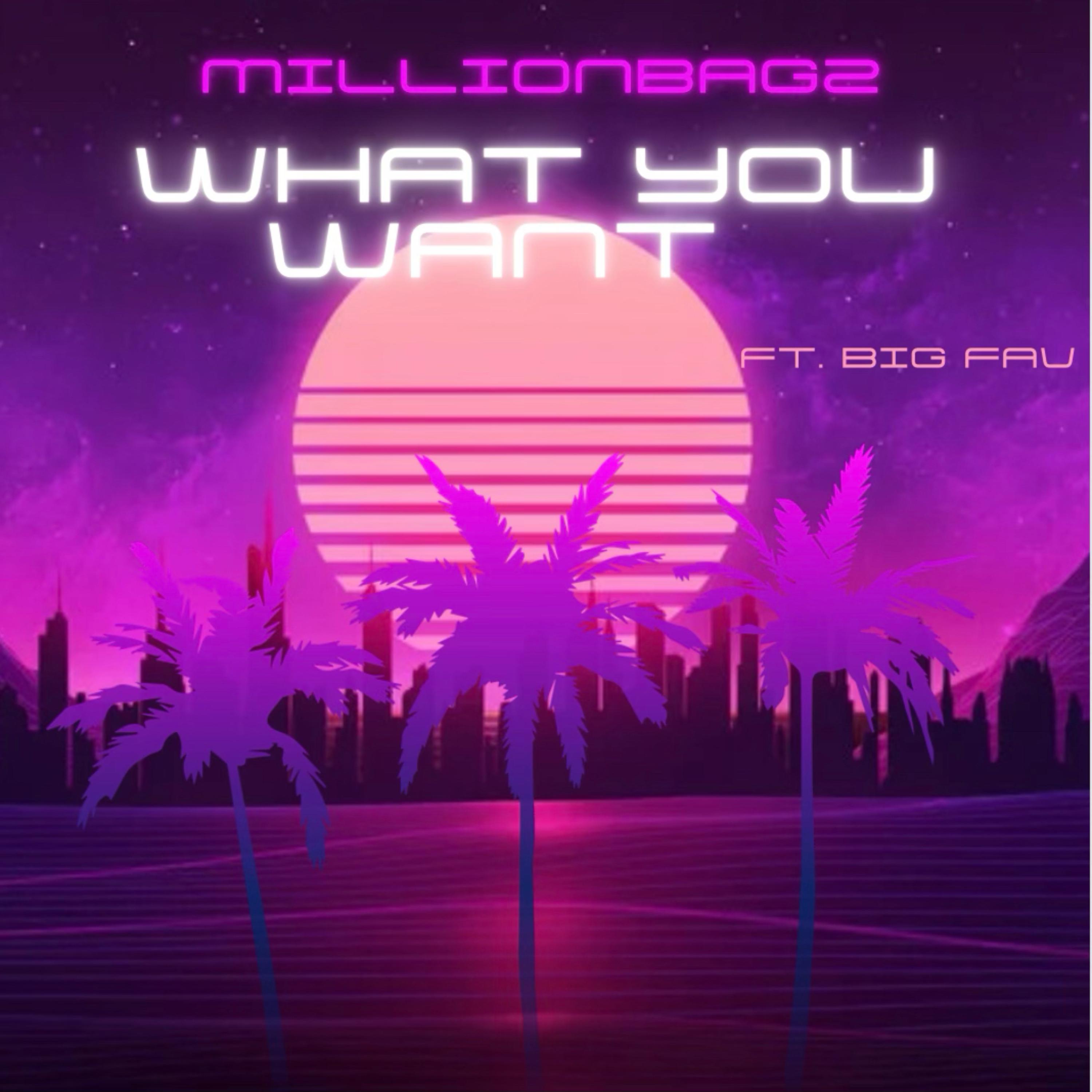 What You Want artwork
