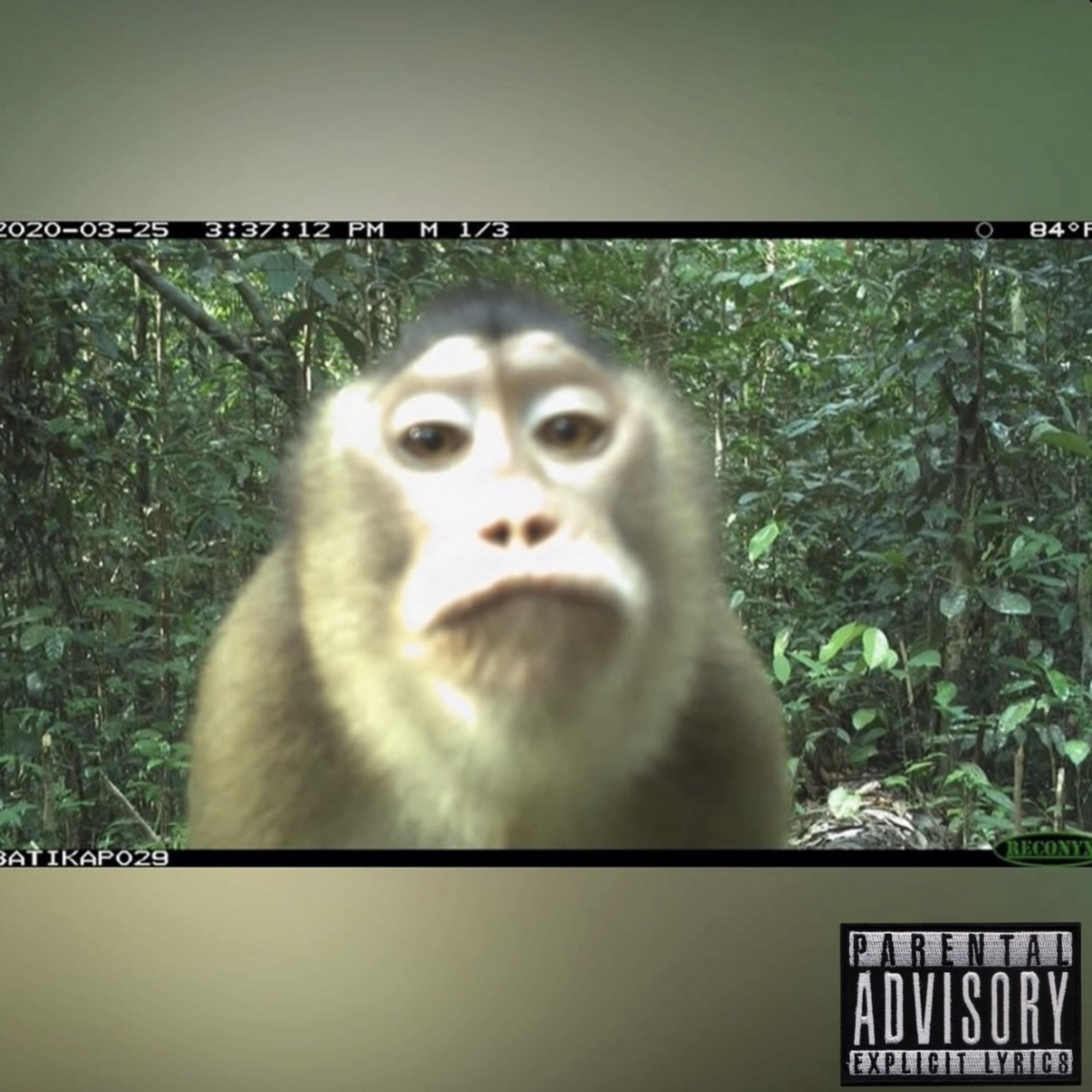 Oh Ya Mad? artwork