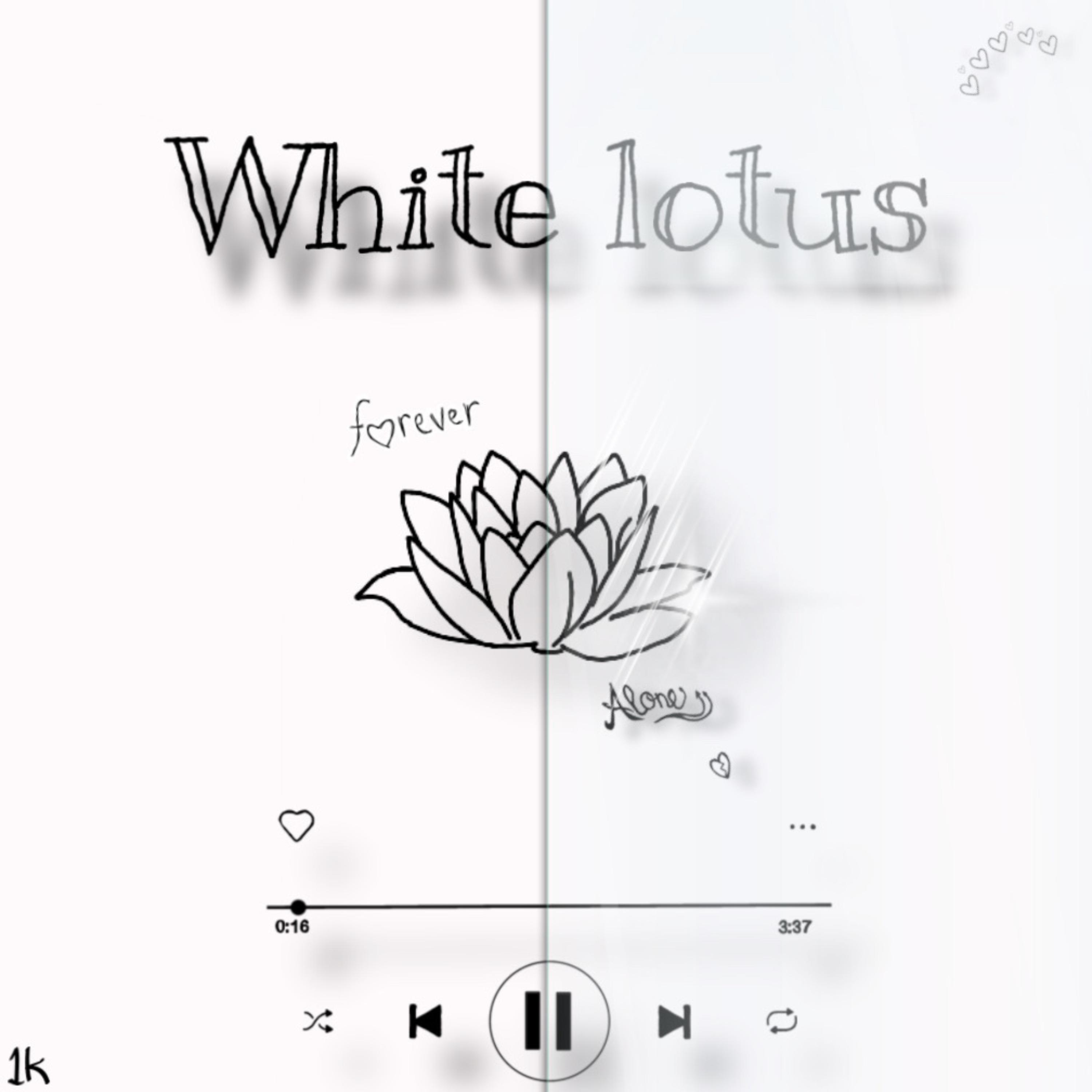 White Lotus artwork