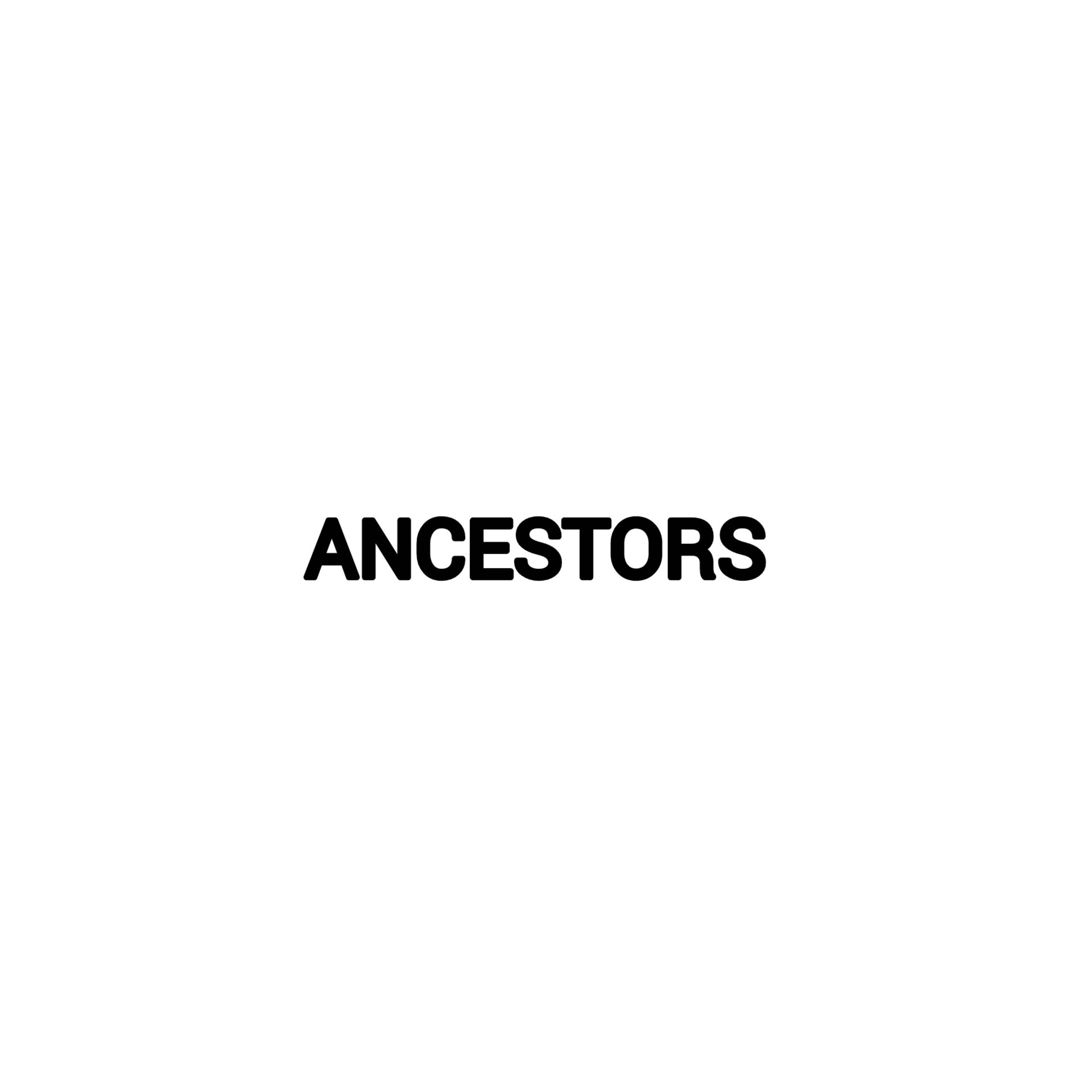 Ancestors artwork