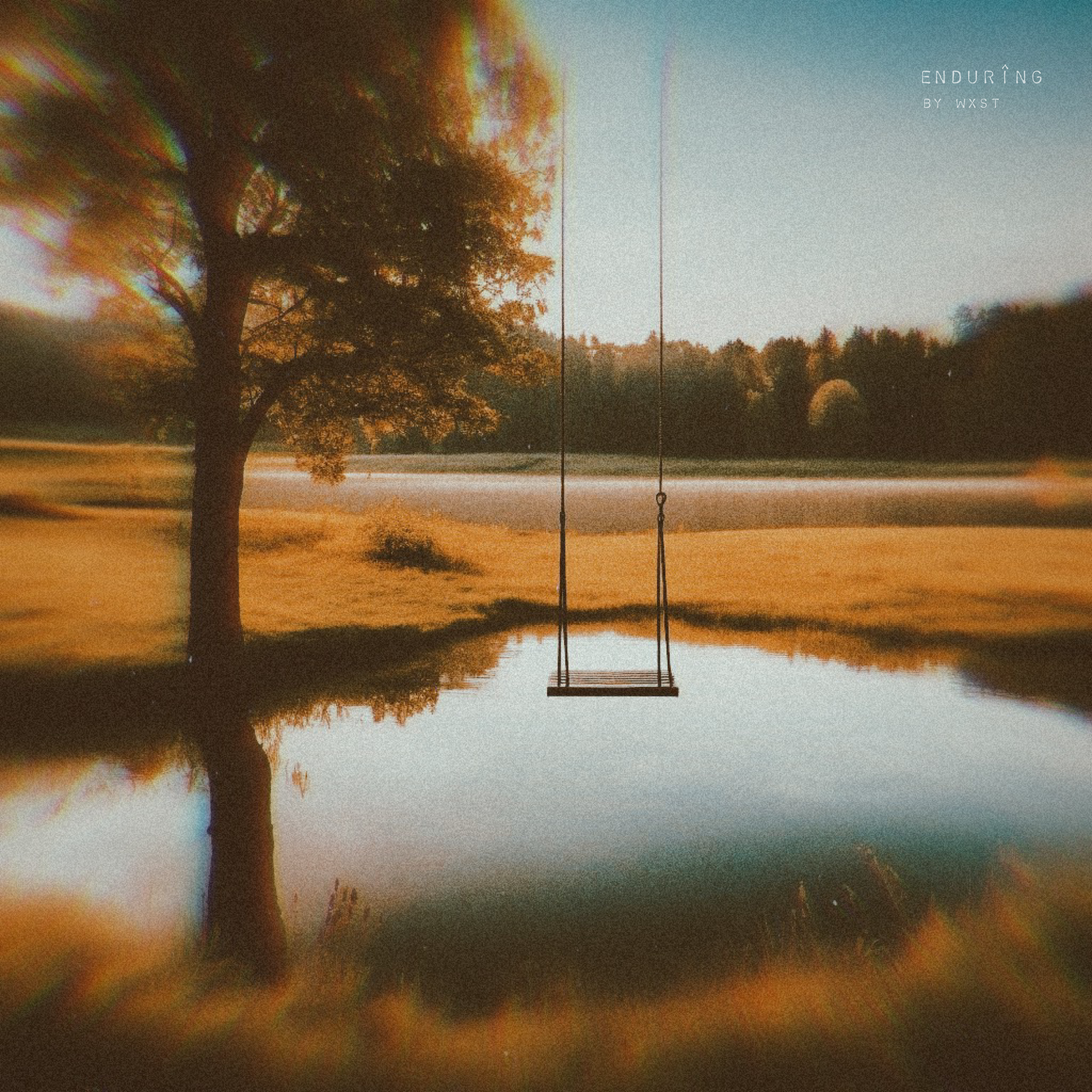 Endurîng artwork