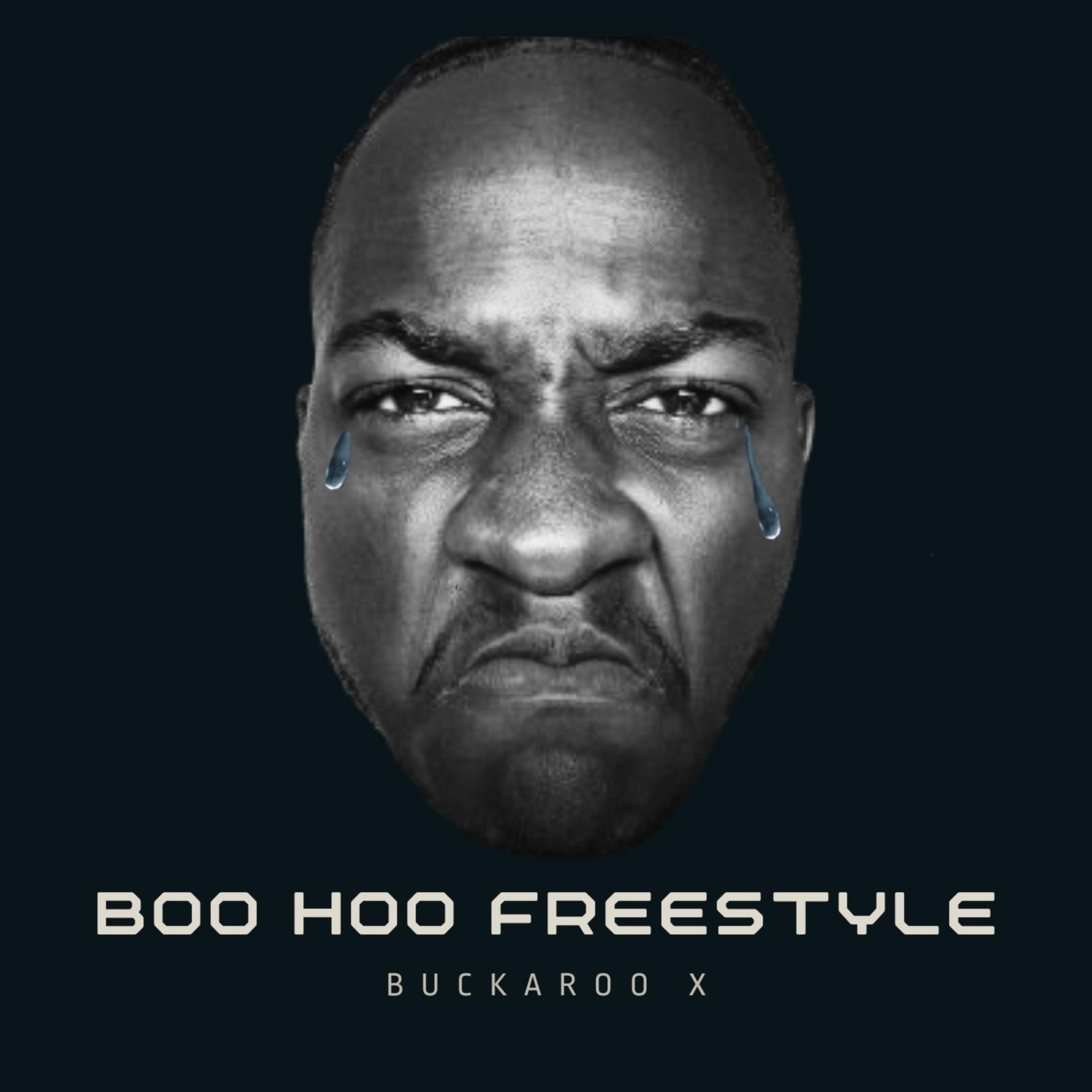 Boo Hoo Freestyle artwork