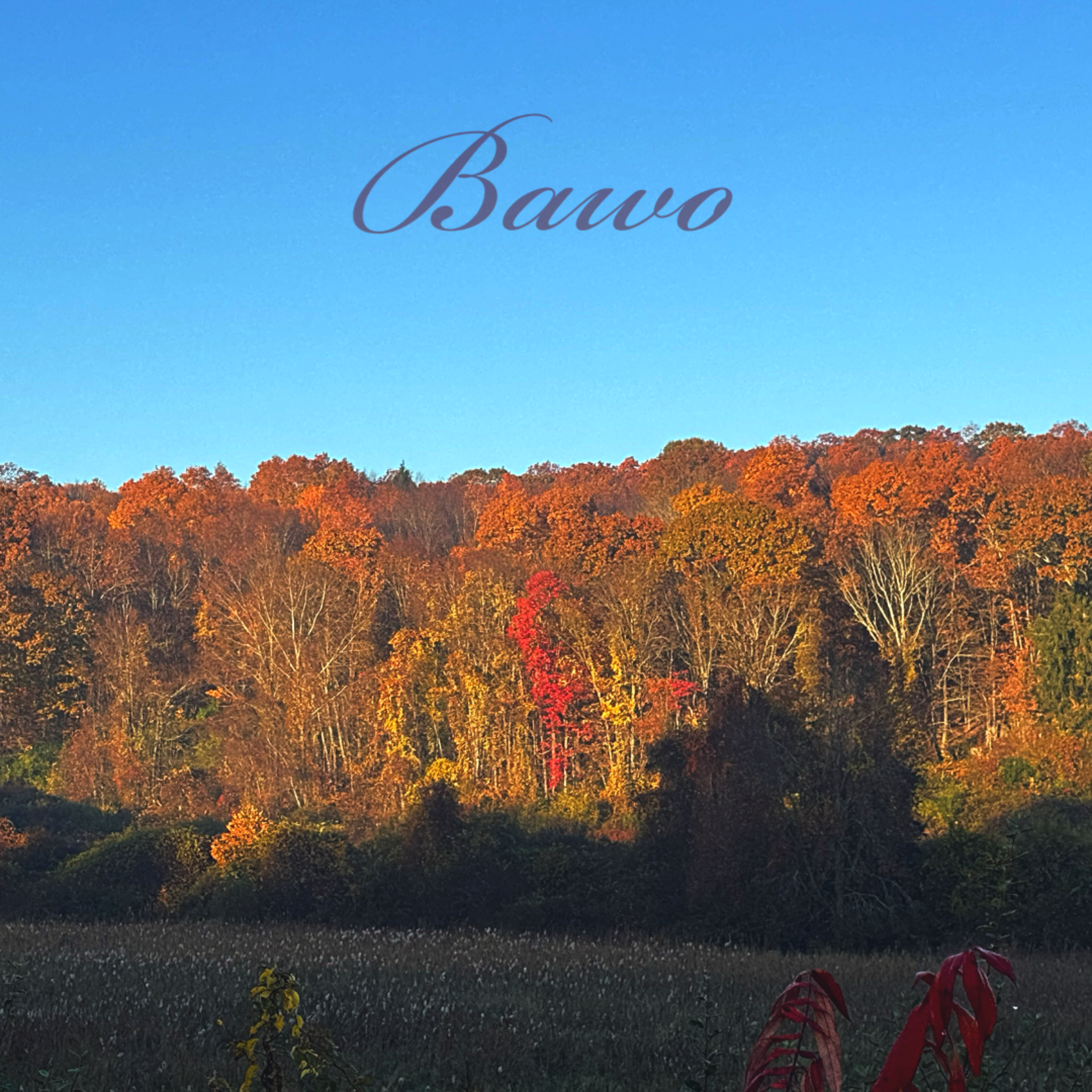 Bawo artwork