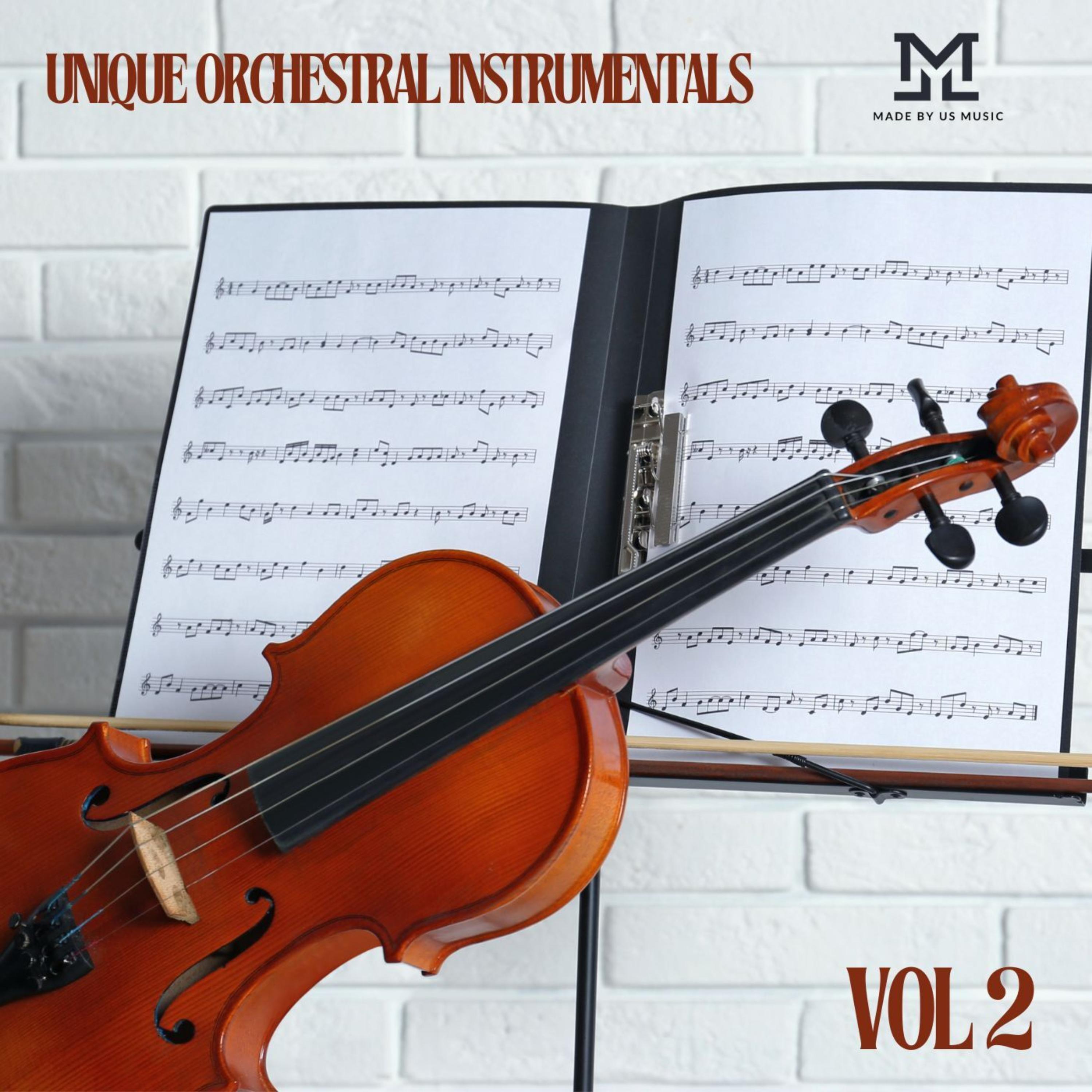 Unique Orchestral Instrumentals Vol 2 artwork