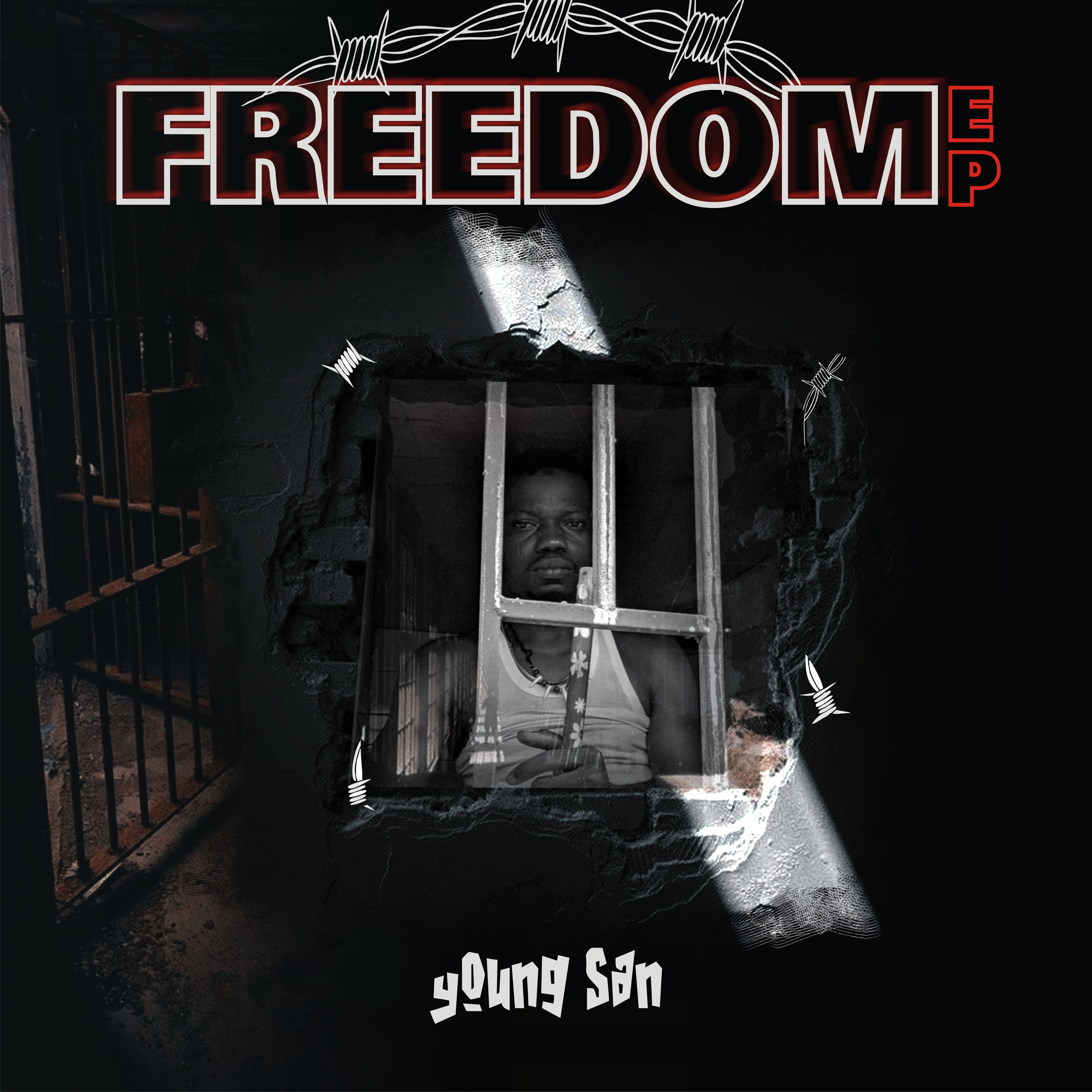 FREEDOM by youngsan cover art