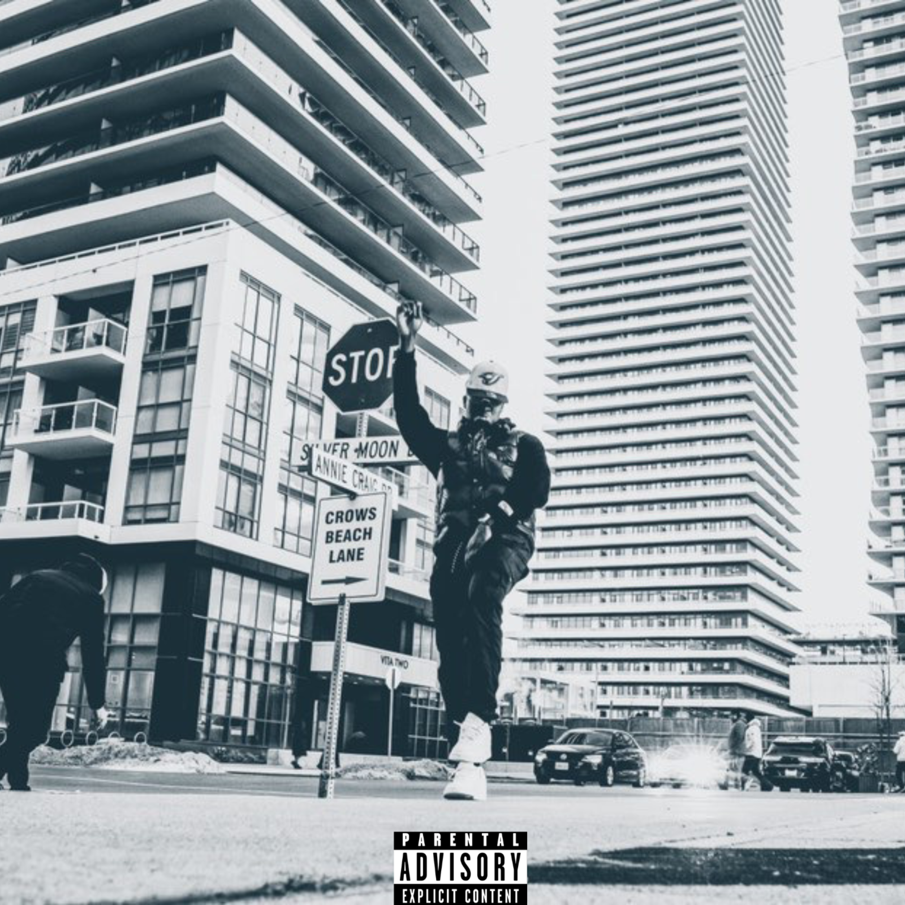 Fly Nigga artwork