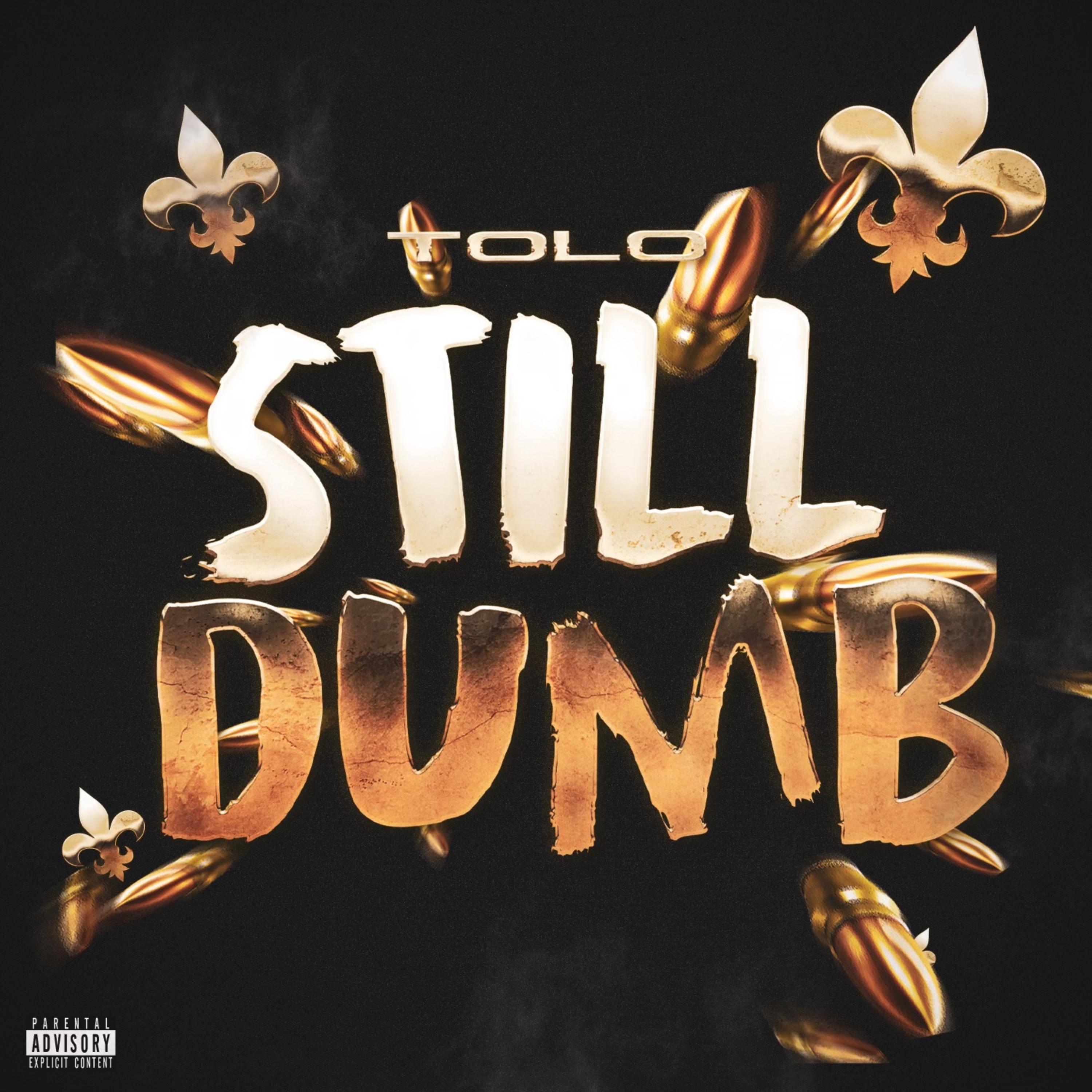 Still Dumb artwork