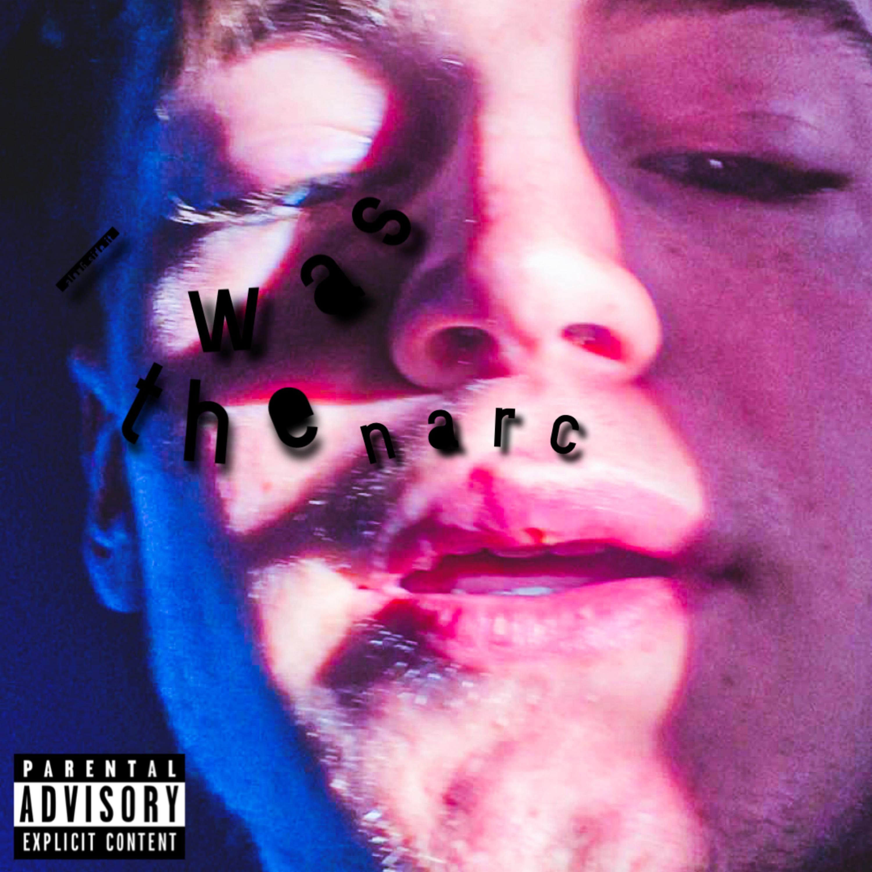 I was the narc artwork